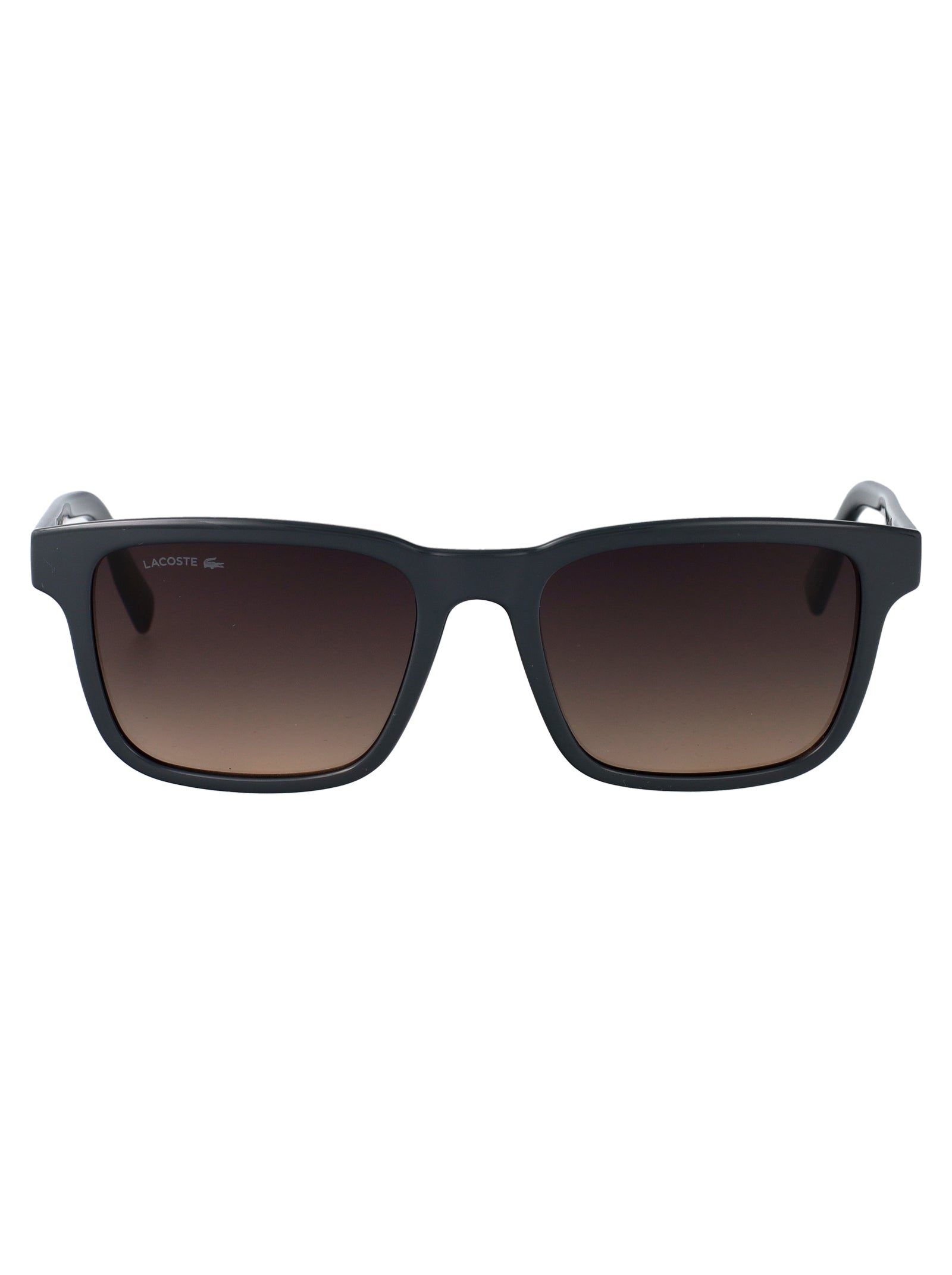 LACOSTE Acetate Sunglasses for Men - SS25 Collection