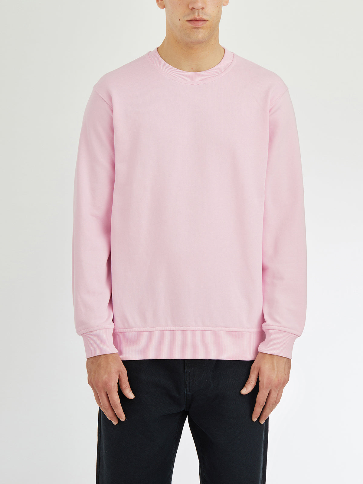 COMME DES GARÇONS SHIRT Crew Neck Cotton Sweatshirt - Medium