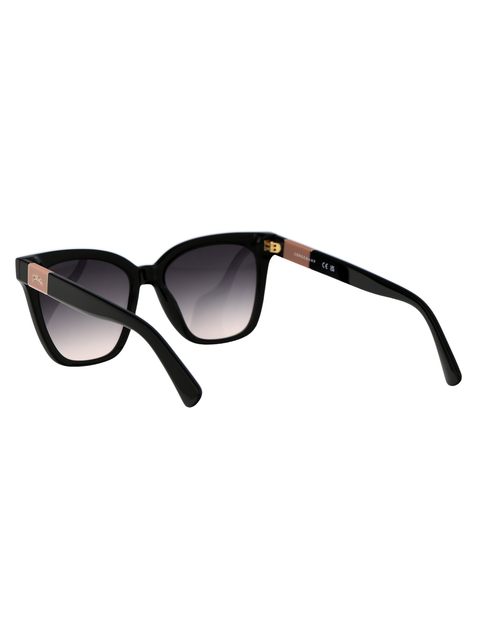 LONGCHAMP Acetate Women's Sunglasses