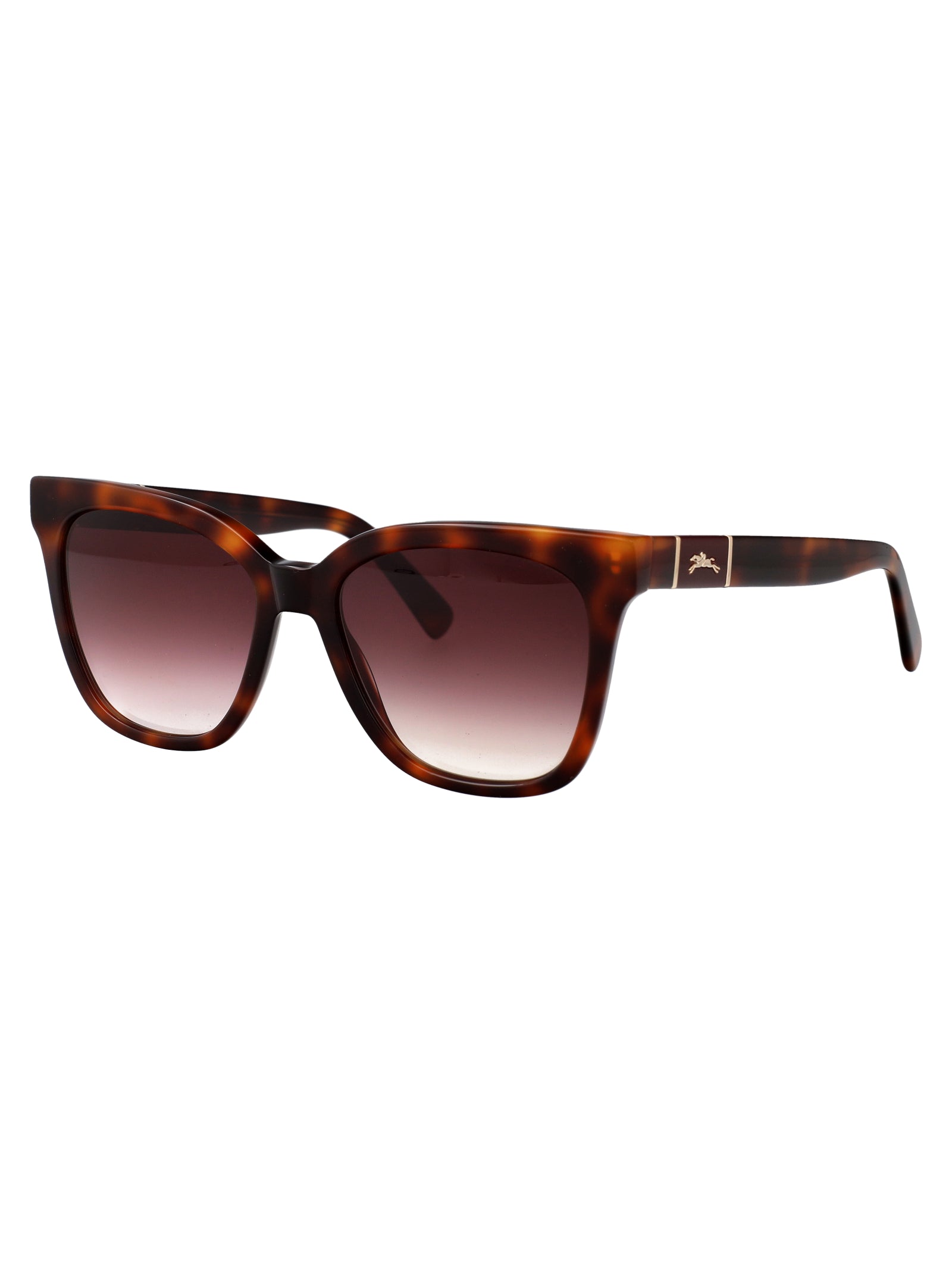 LONGCHAMP Acetate Sunglasses for Women - Summer Style