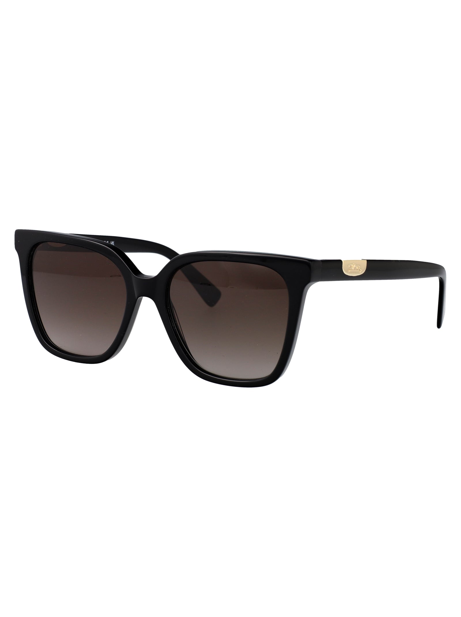 LONGCHAMP Acetate Women's Sunglasses - Stylish and Chic