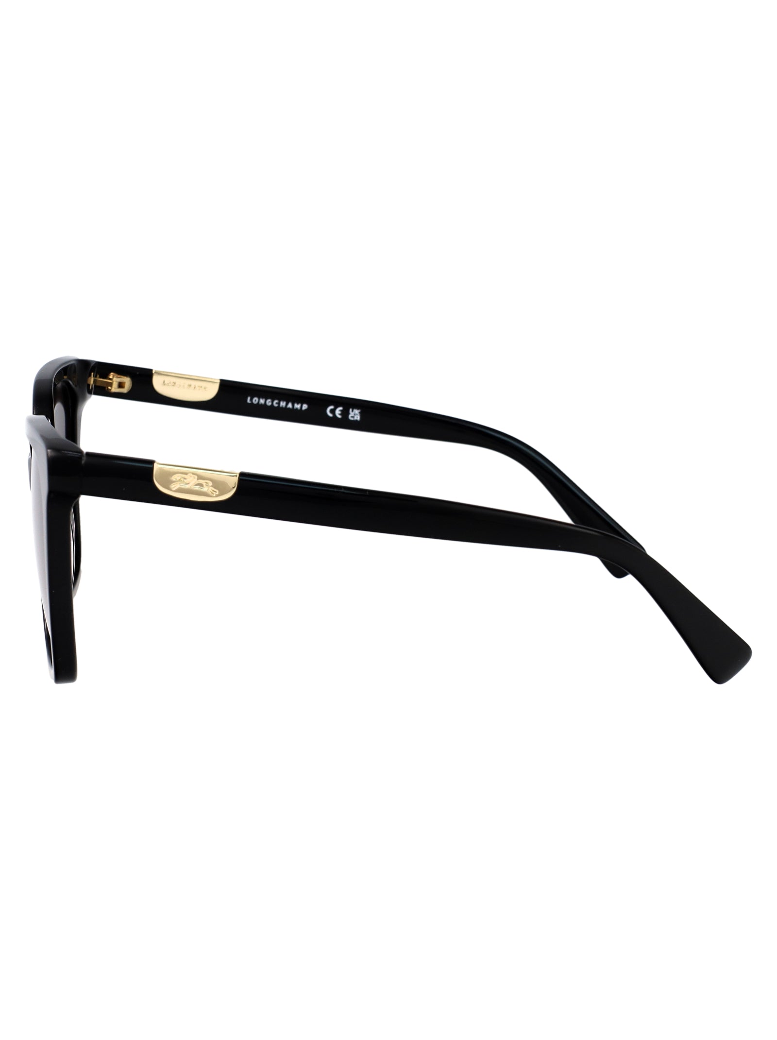 LONGCHAMP Acetate Women's Sunglasses - Stylish and Chic