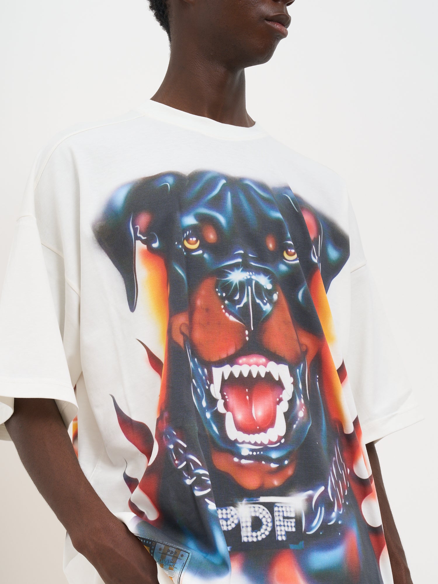 PDF Oversized Crewneck Dog Graphic T-Shirt - Medium