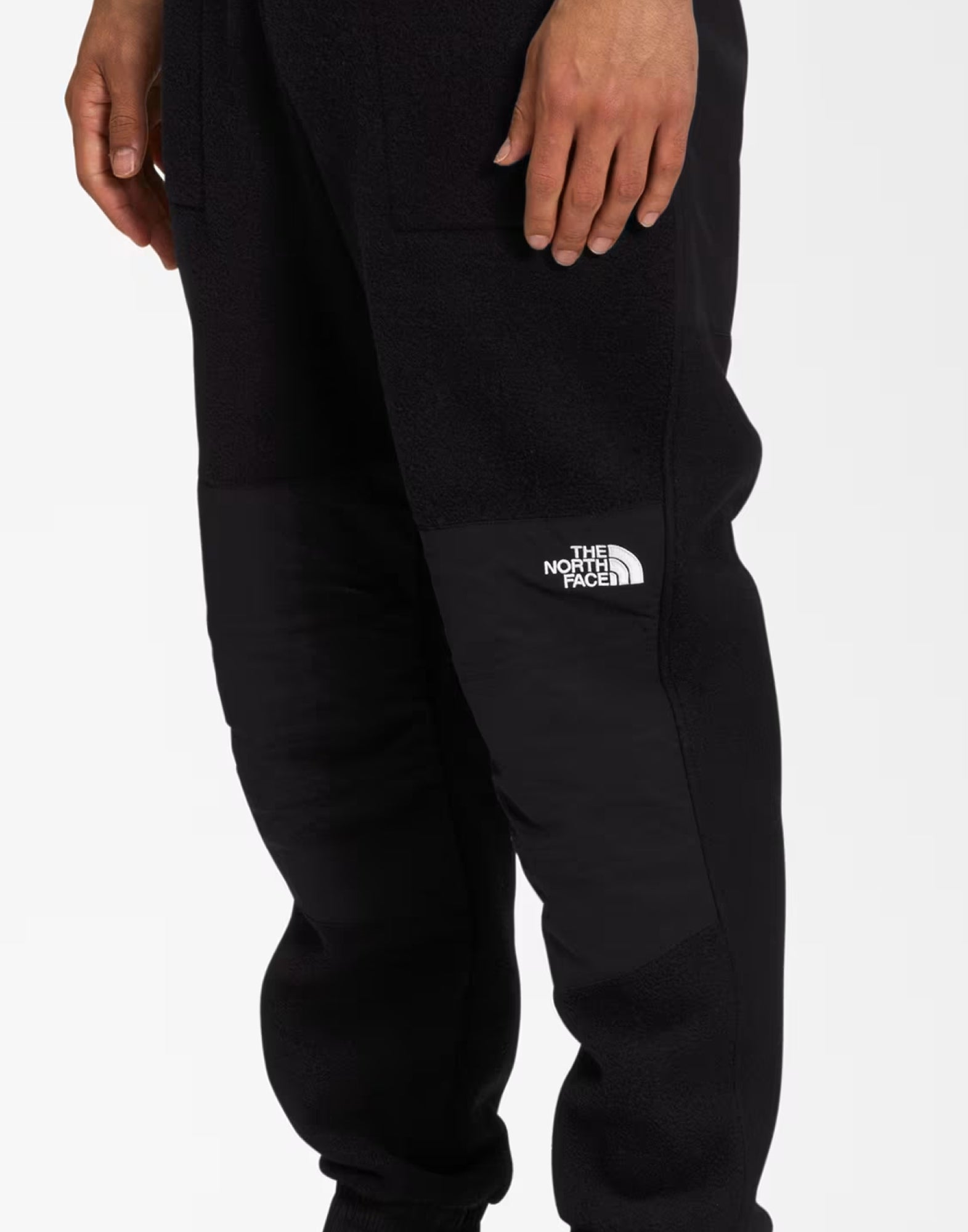 THE NORTH FACE Denali Pants for Men - FW25 Collection