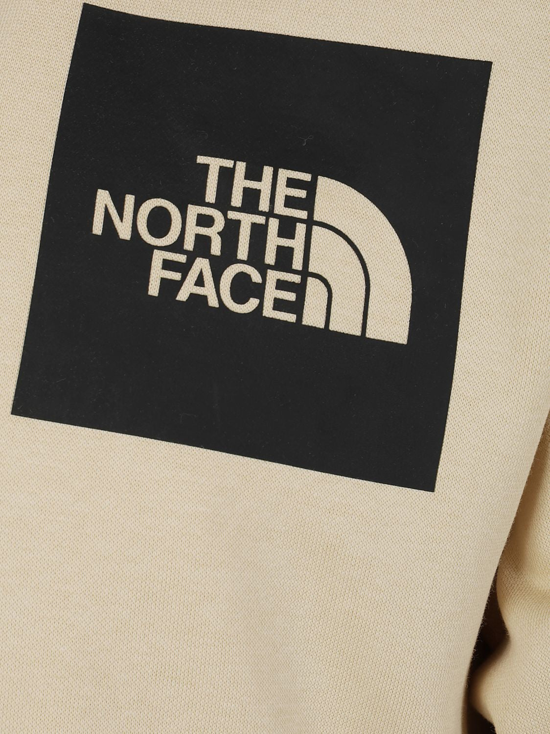 THE NORTH FACE Men's Fine Hoodie