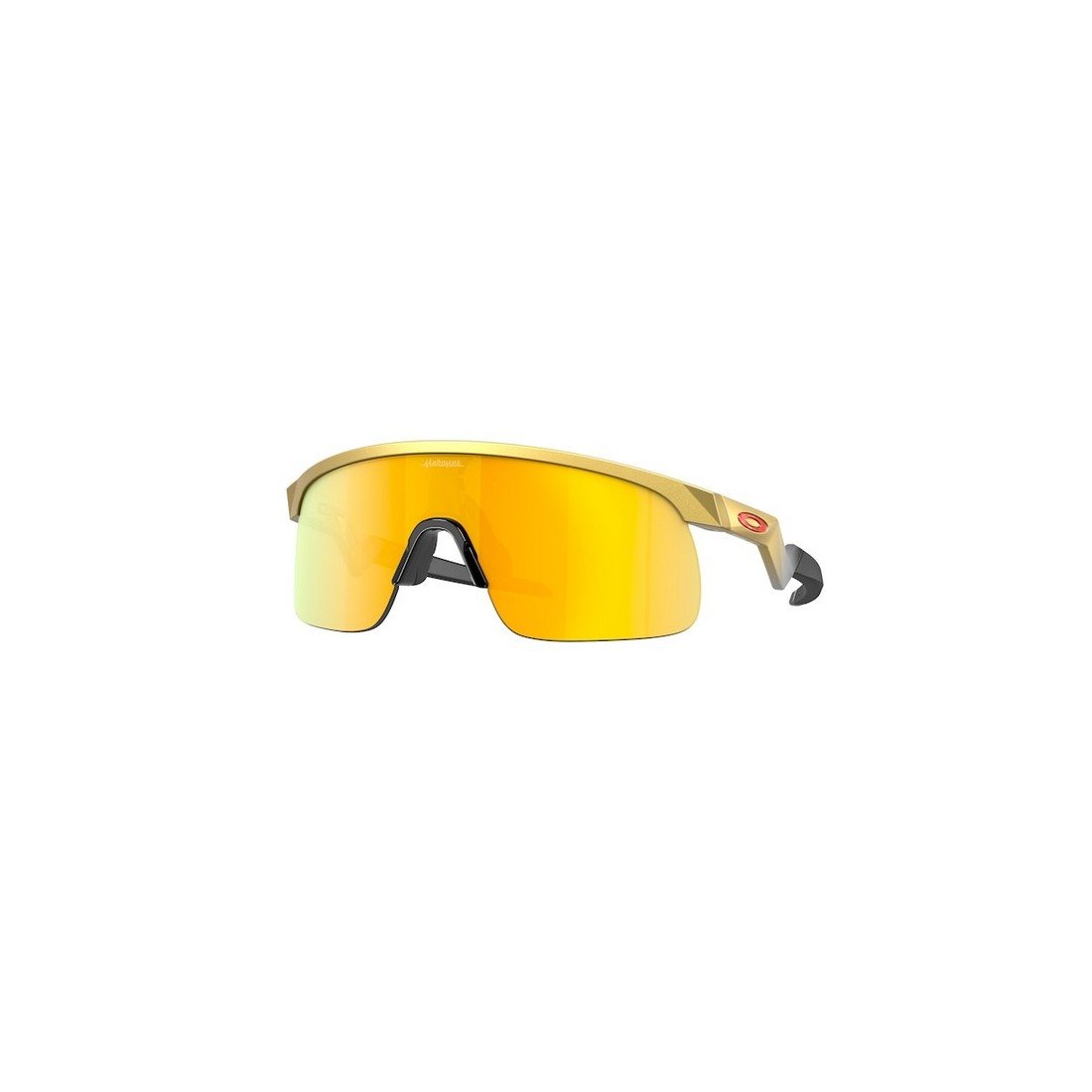 OAKLEY Resistor Sunglasses for Men