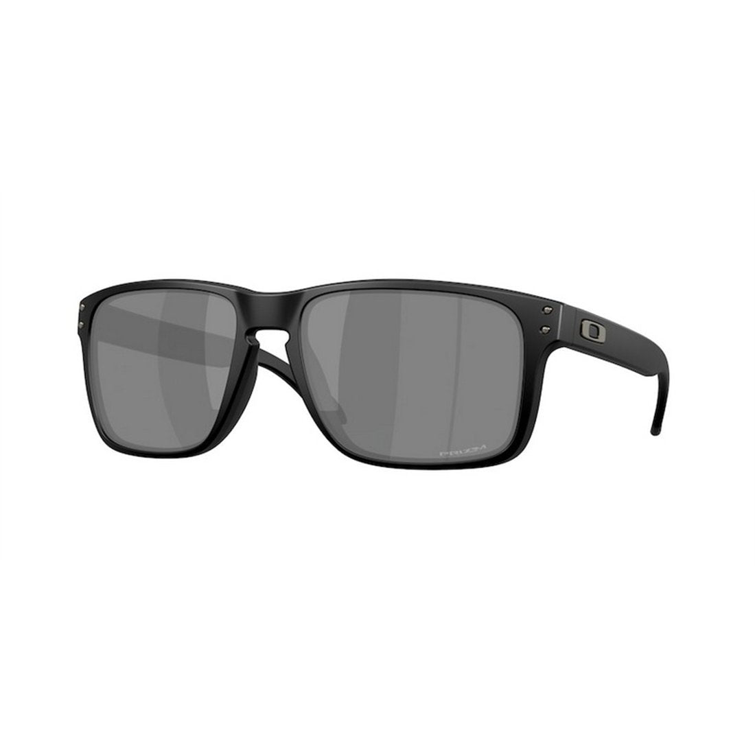 OAKLEY Holbrook XXL Vintage-Inspired Sunglasses