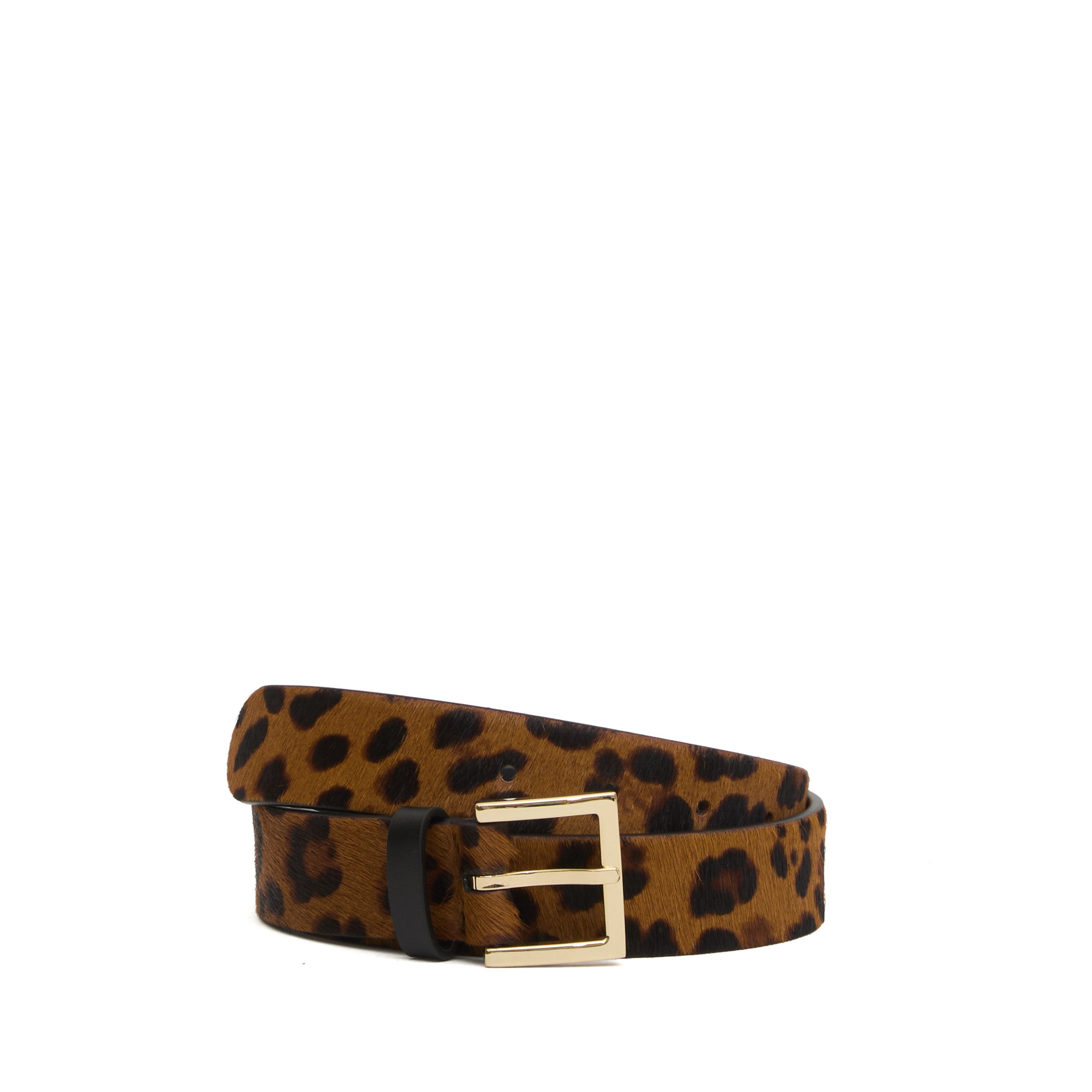 ORCIANI Leopard Print Square Buckle Belt - Women’s Fashion Accessory
