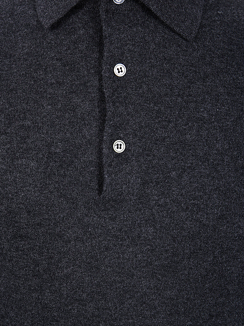 FILIPPO DE LAURENTIIS Long Sleeves Cashmere Wool Polo Neck