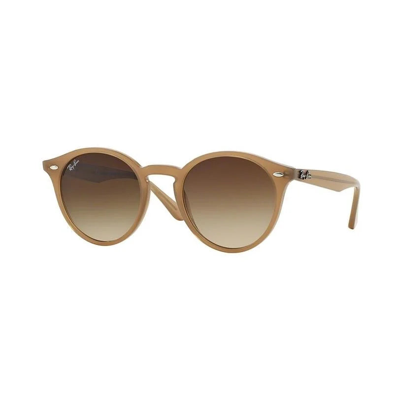 RAY-BAN Timeless Round Frame Sunglasses for Men
