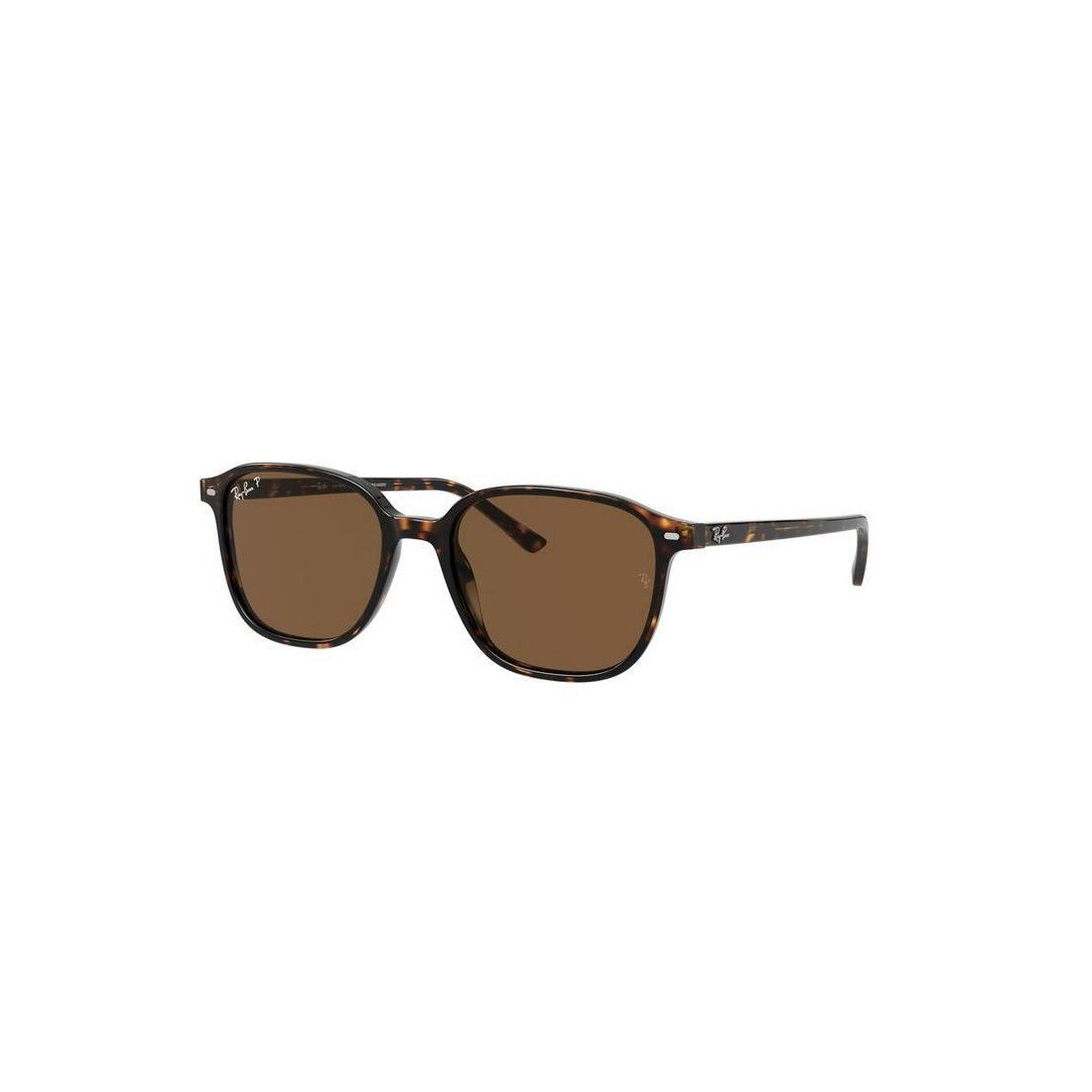RAY-BAN Leonard Men's Stylish Sunglasses