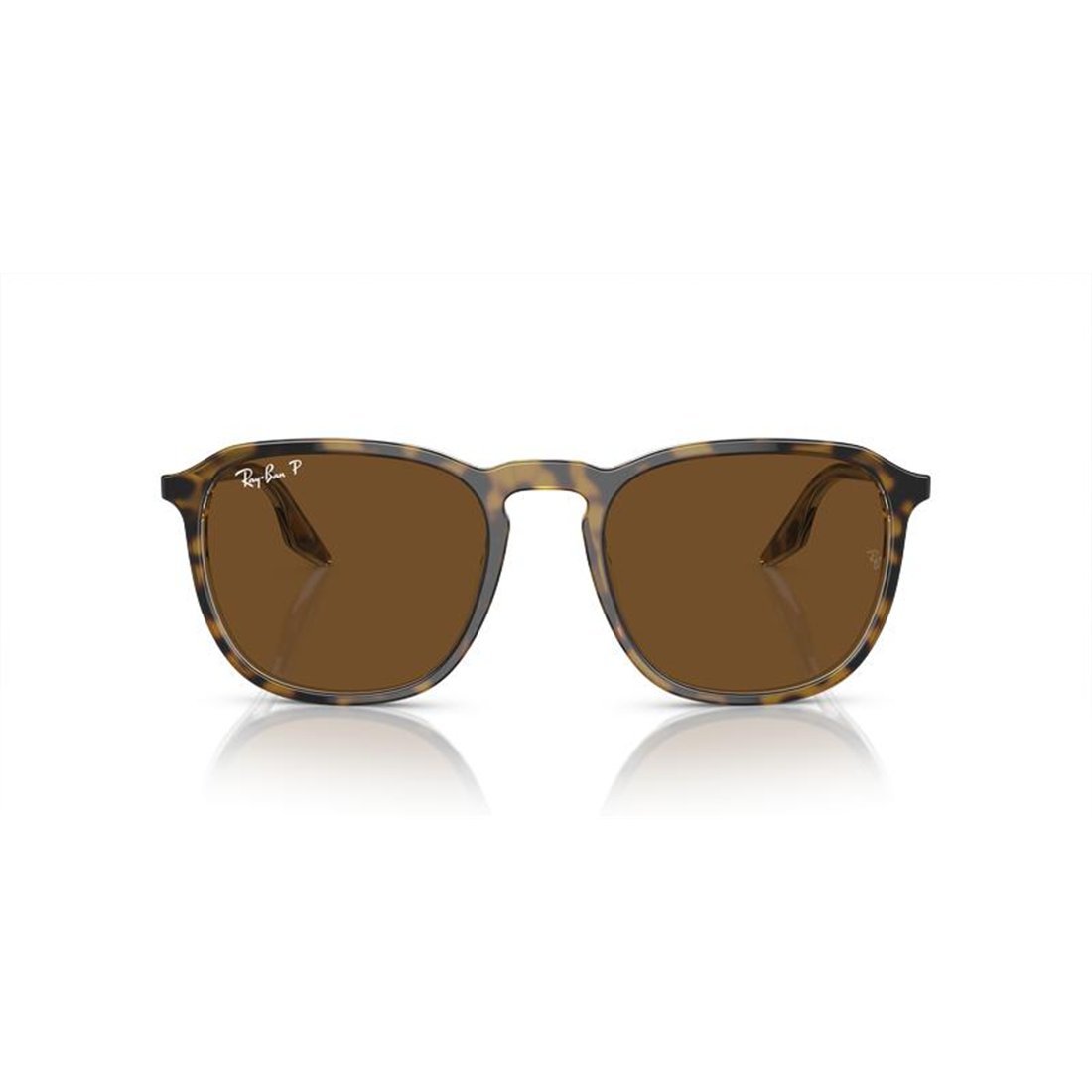 RAY-BAN Men's Classic Acetate Sunglasses