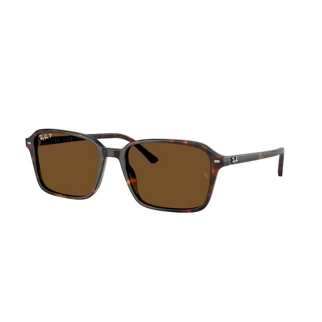 RAY-BAN Timeless Acetate Sunglasses
