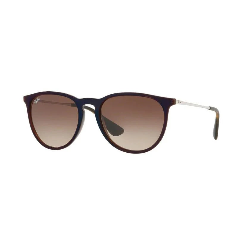 RAY-BAN Erika RB4171 Women's Sunglasses