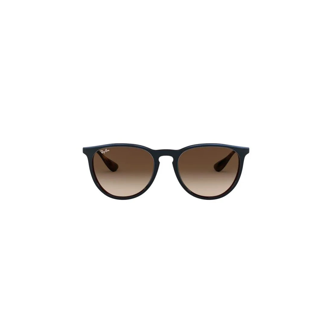 RAY-BAN Erika RB4171 Women's Sunglasses