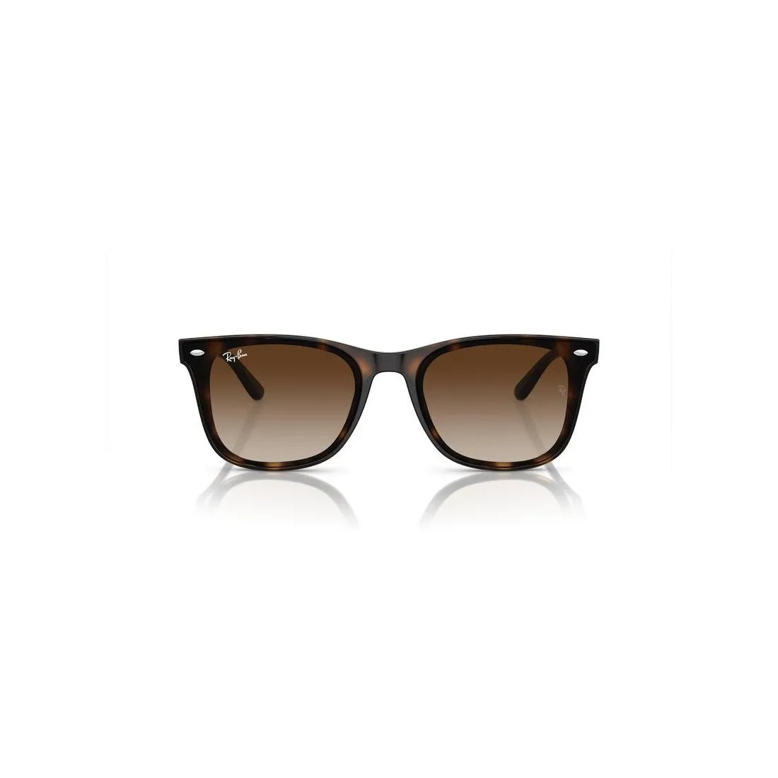 RAY-BAN Timeless Acetate Sunglasses for All