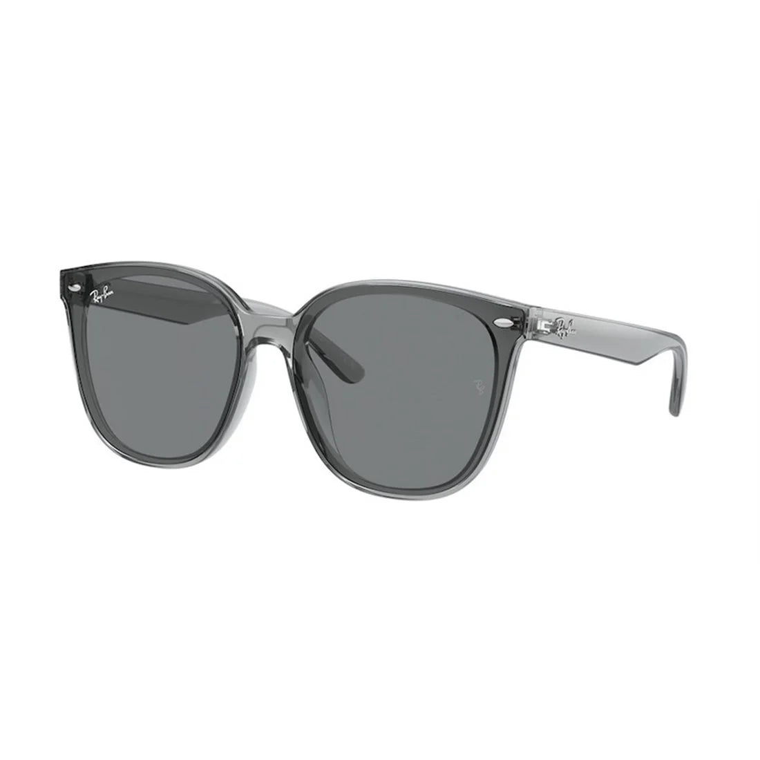 RAY-BAN Classic Acetate Sunglasses for Men