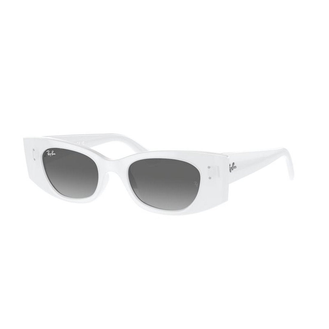 RAY-BAN Sleek Mini Retro Sunglasses for Men