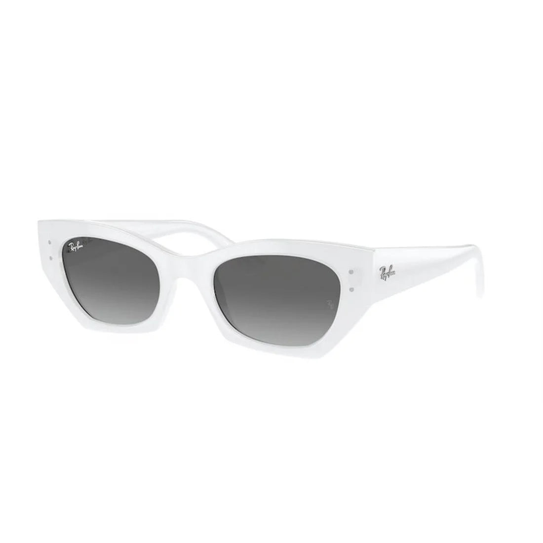 RAY-BAN Men's Classic Sunglasses