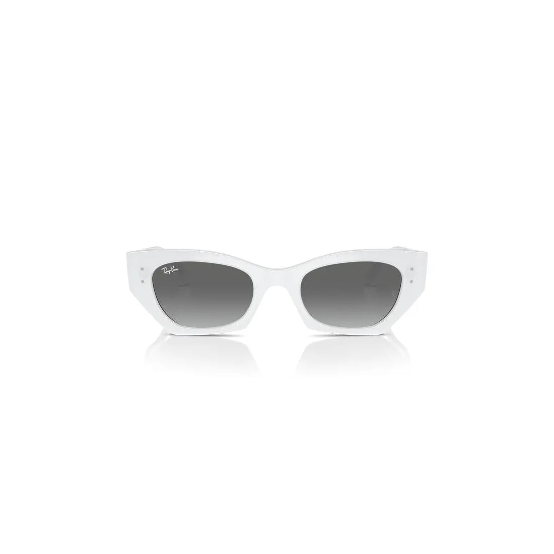 RAY-BAN Men's Classic Sunglasses