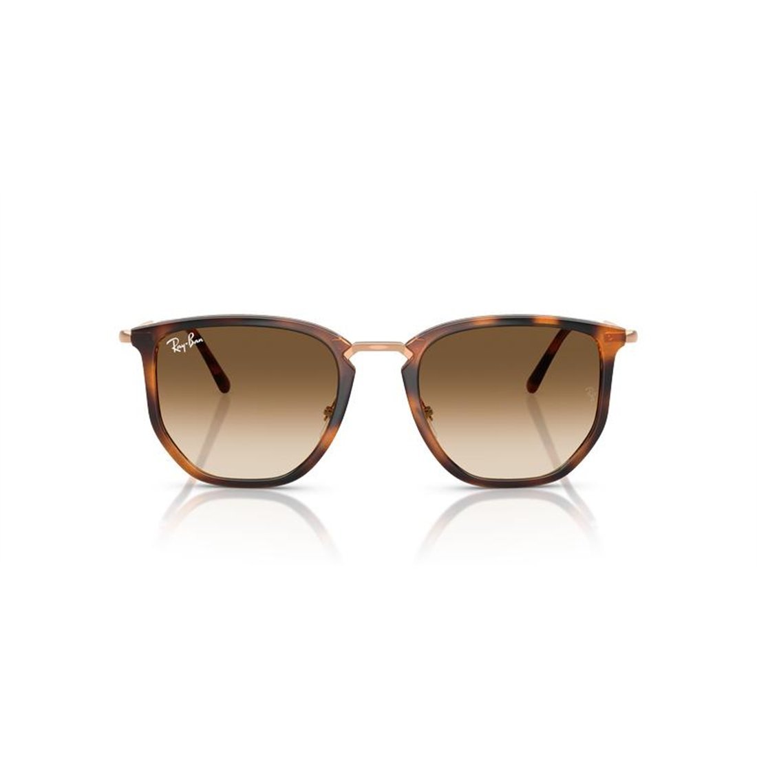 RAY-BAN Classic Unisex Sunglasses RB4451