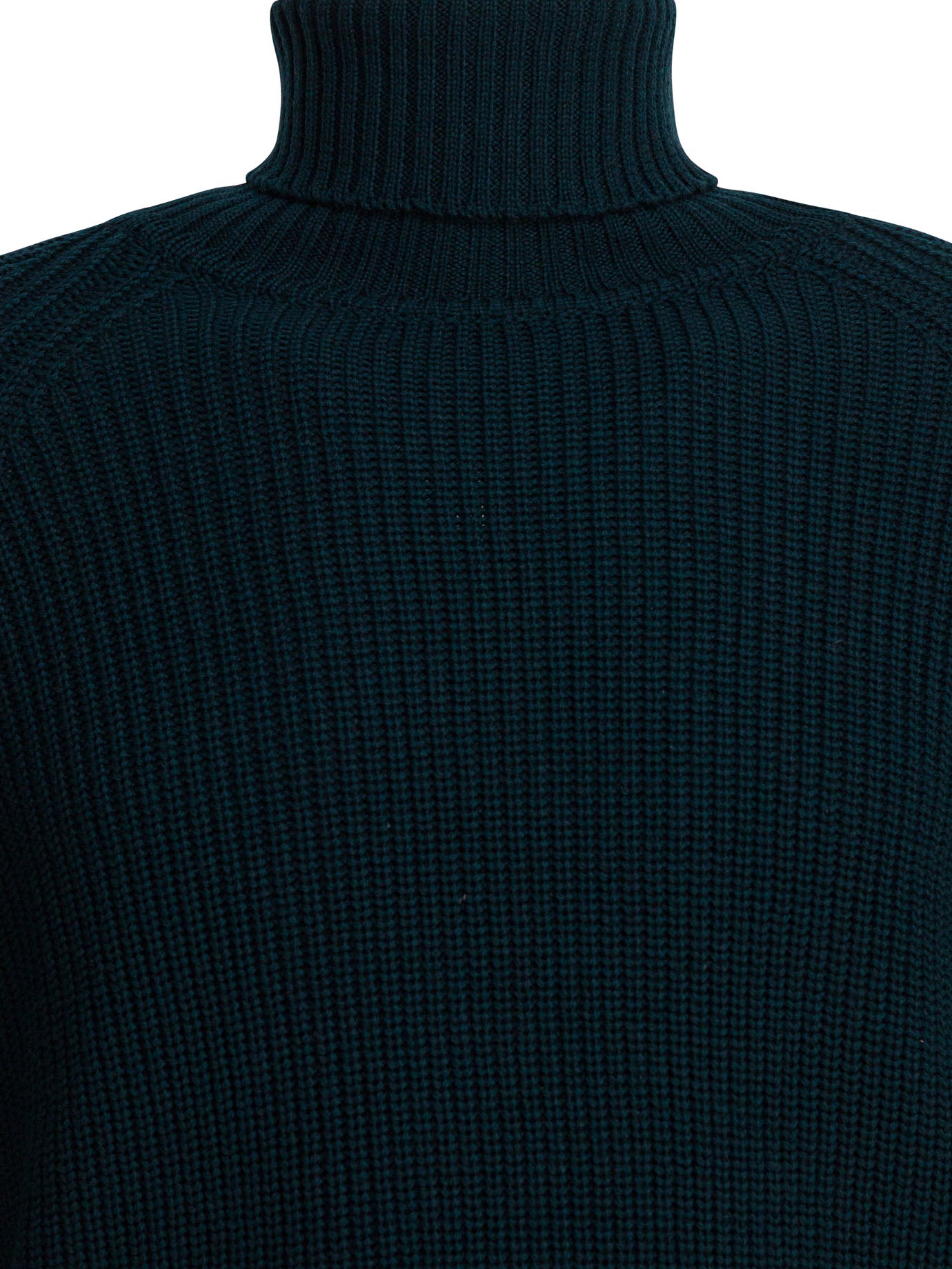 RAKKI Regular Fit Turtleneck Sweater for Men