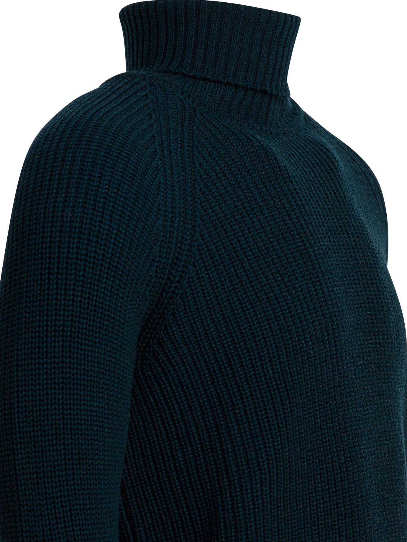 RAKKI Regular Fit Turtleneck Sweater for Men