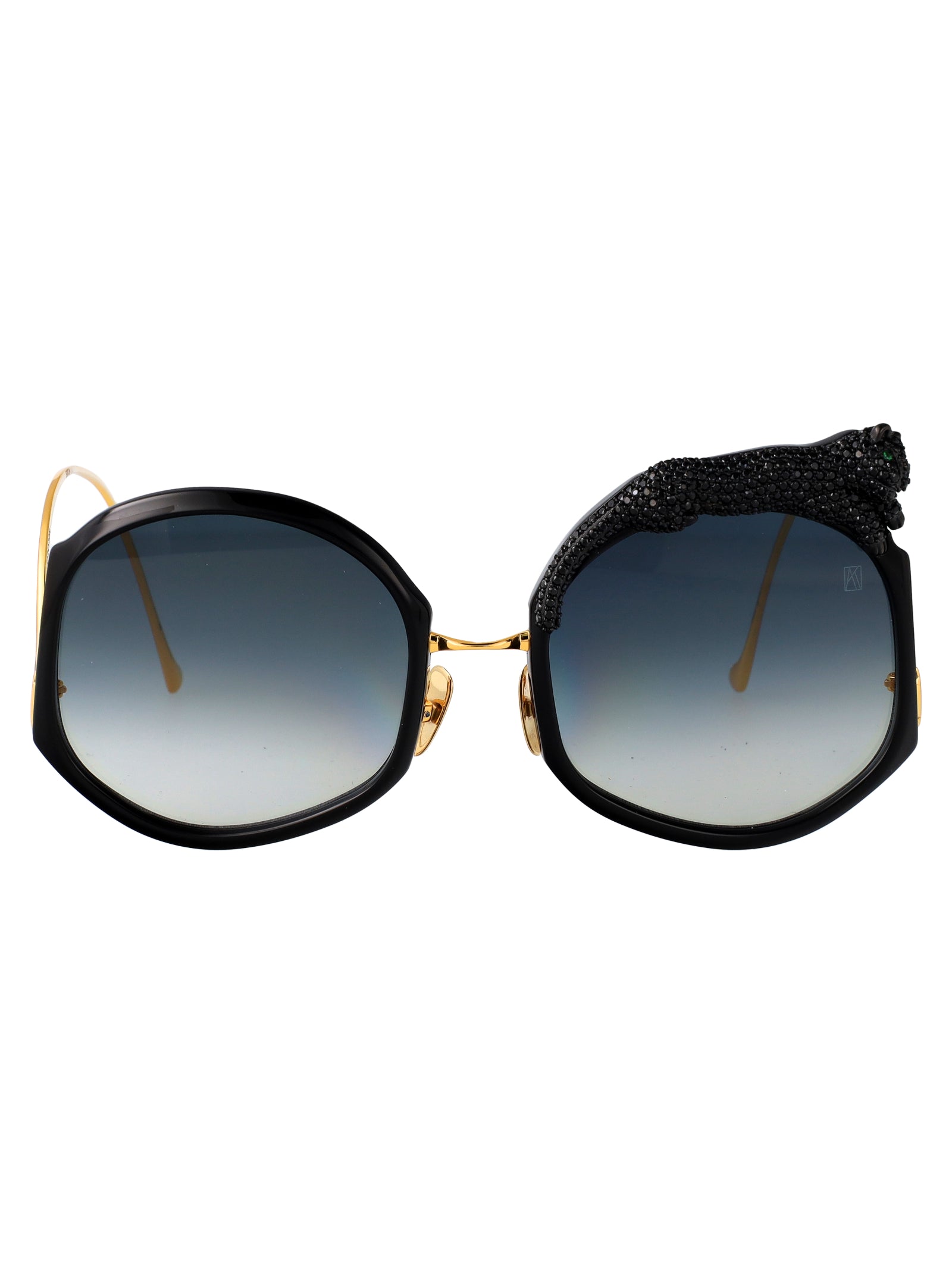 ANNA KARIN KARLSSON Acetate Unisex Sunglasses