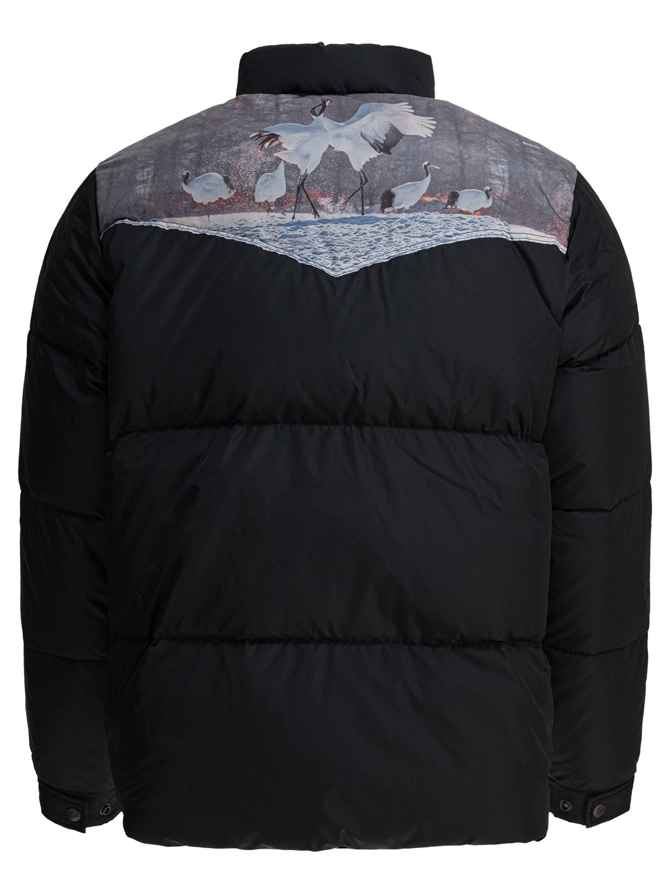 NEEDLES Men's Regular Fit Down Jacket - FW25 Collection