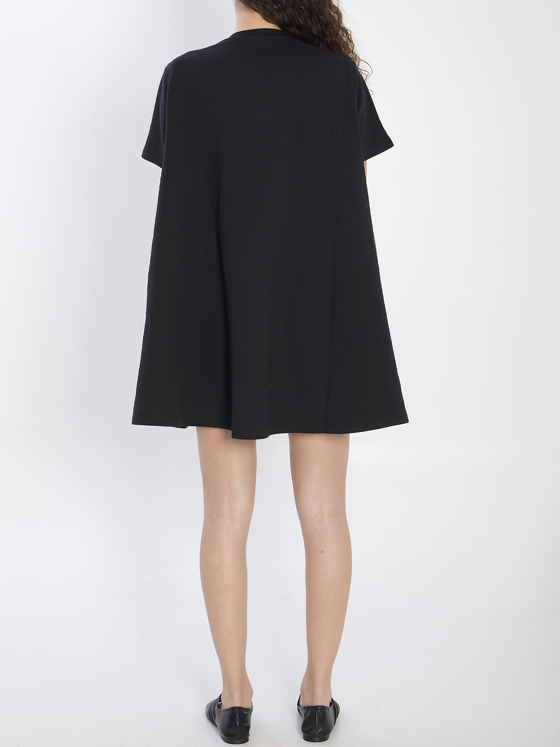 LOEWE A-Line Mini Dress with Embroidered Detail
