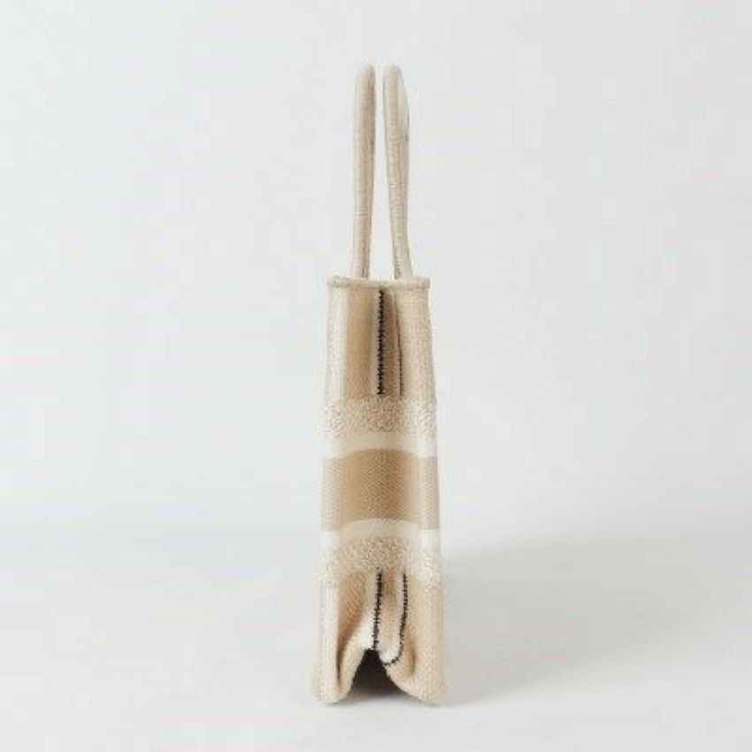 DIOR Mini Canvas Tote Handbag