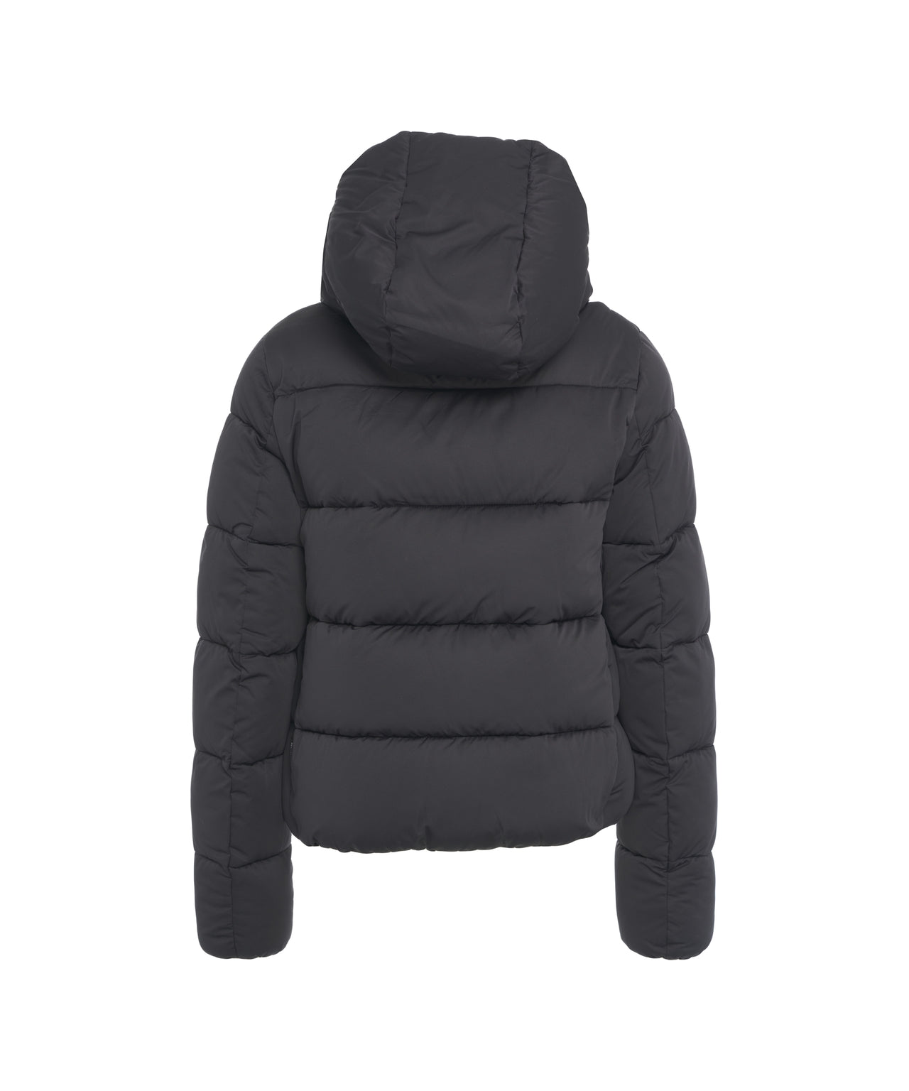 SAVE THE DUCK Modern High Collar Puffer Jacket for Women