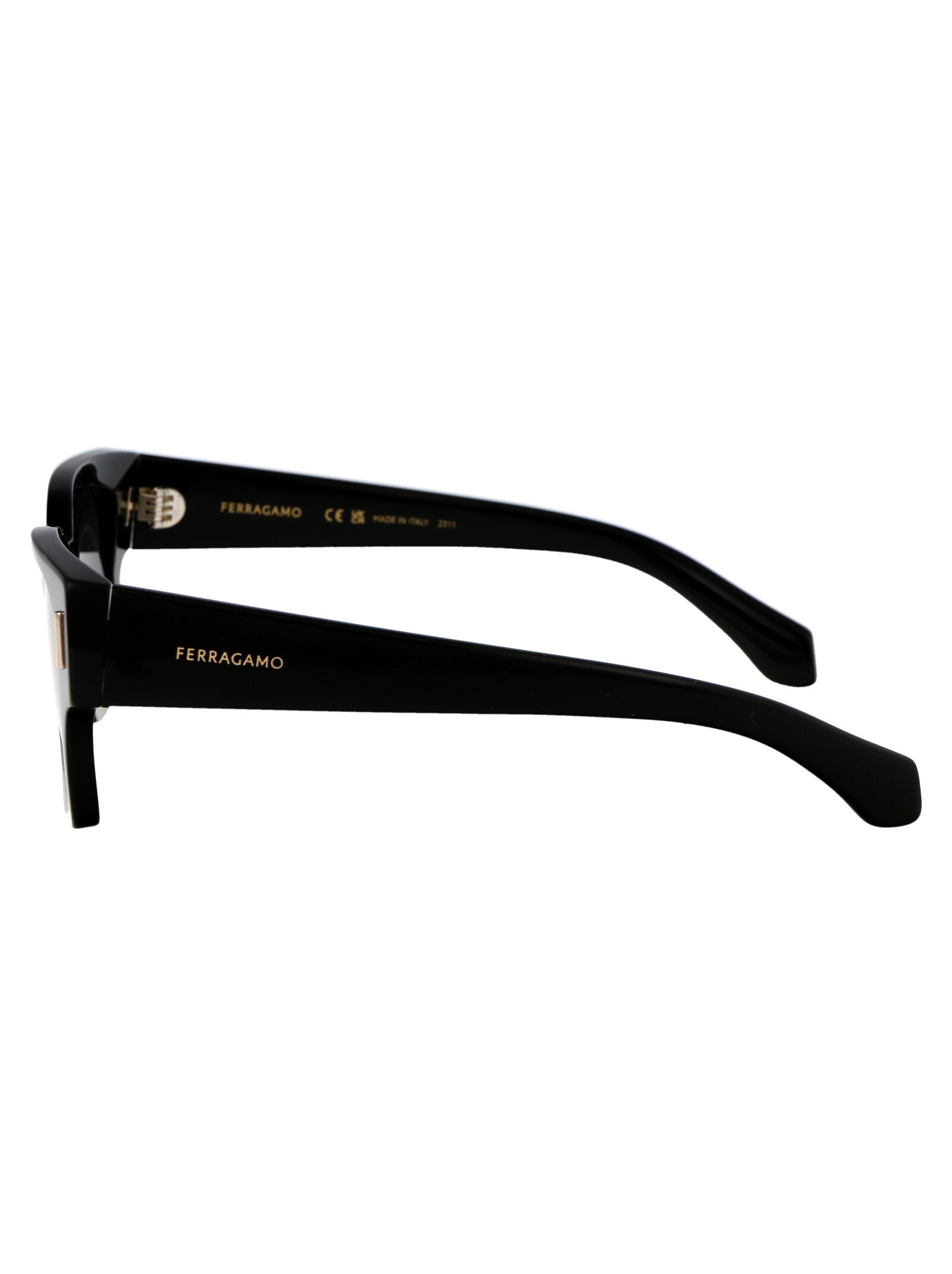 Ferragamo Chic Acetate Sunglasses for Women - SF2010S Model