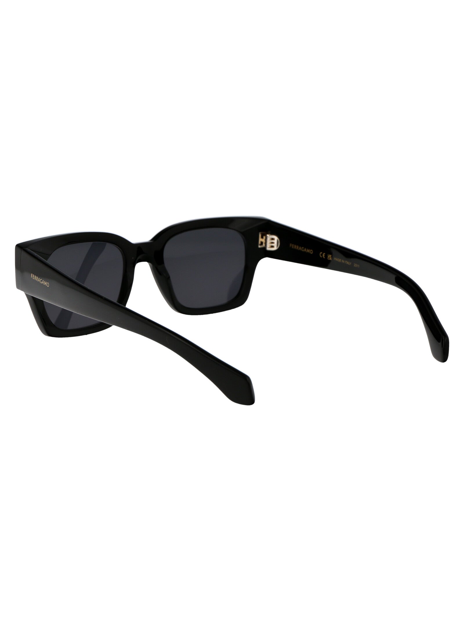 Ferragamo Chic Acetate Sunglasses for Women - SF2010S Model
