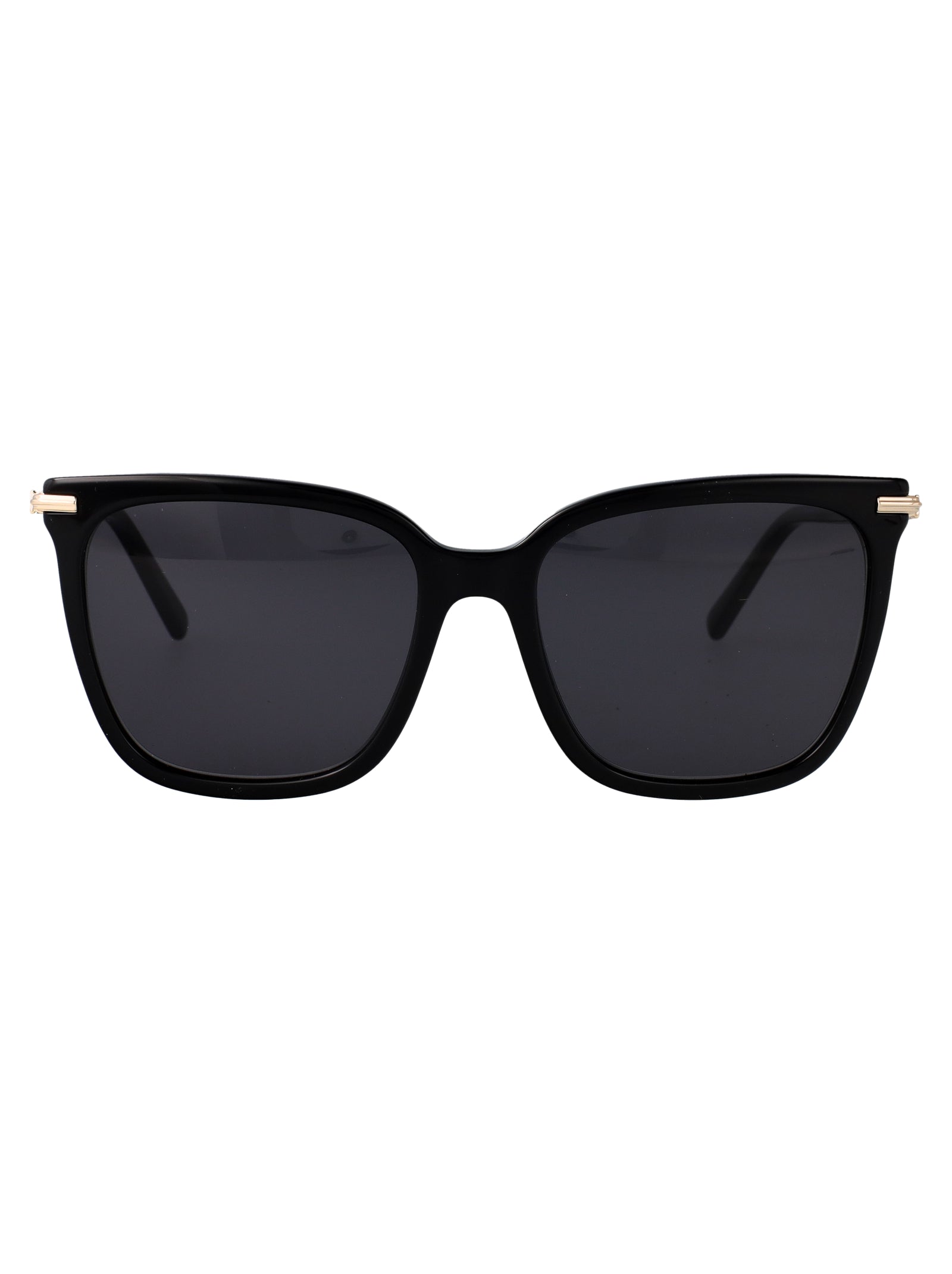 Ferragamo Acetate Sunglasses for Women - SS25 Collection