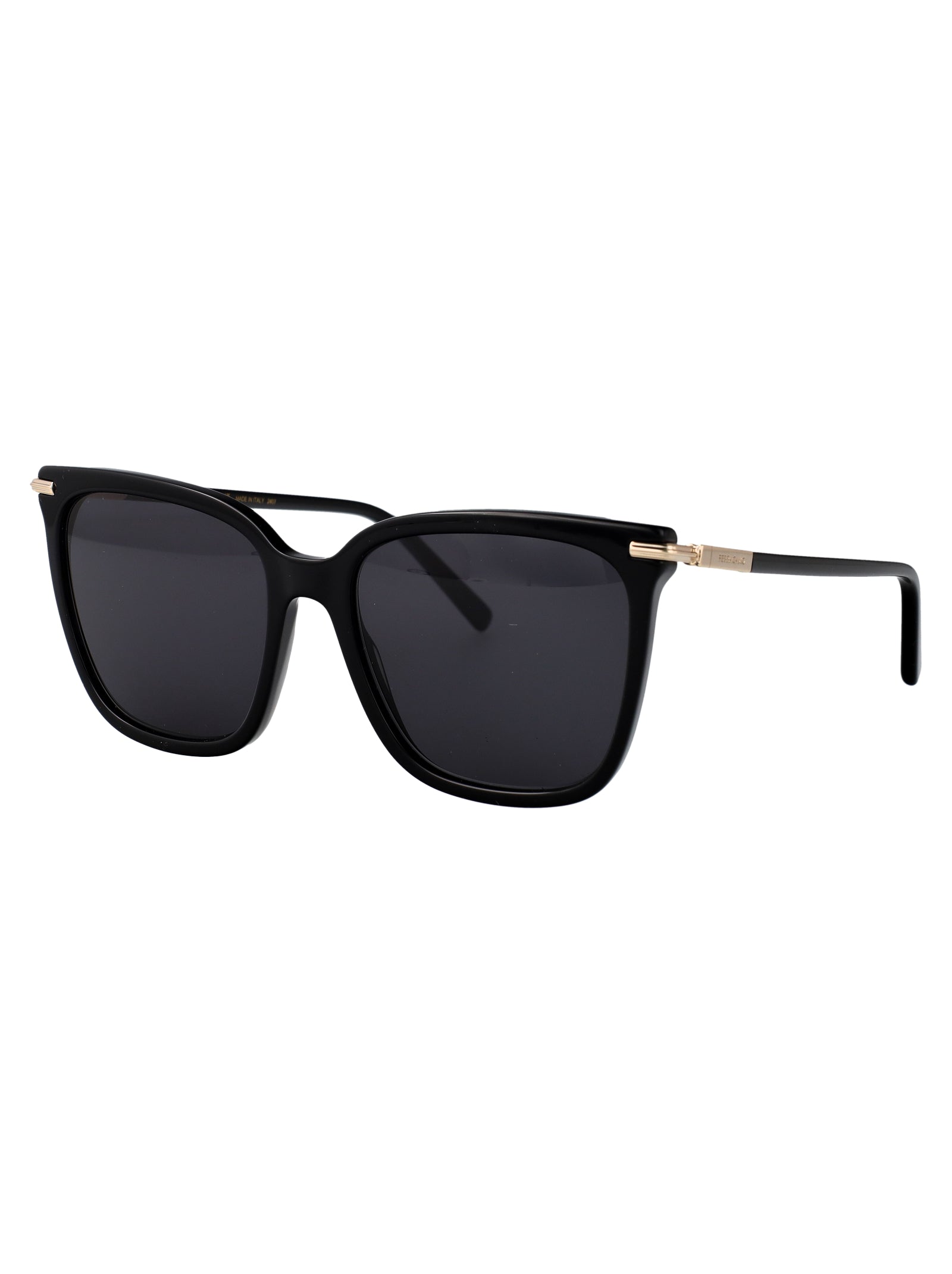 Ferragamo Acetate Sunglasses for Women - SS25 Collection
