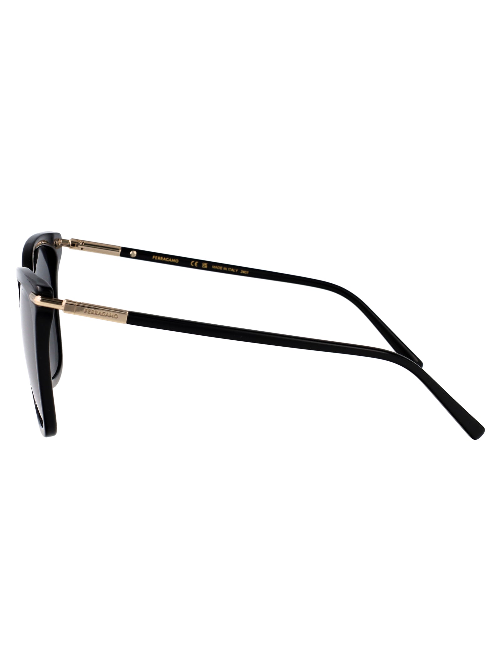 Ferragamo Acetate Sunglasses for Women - SS25 Collection
