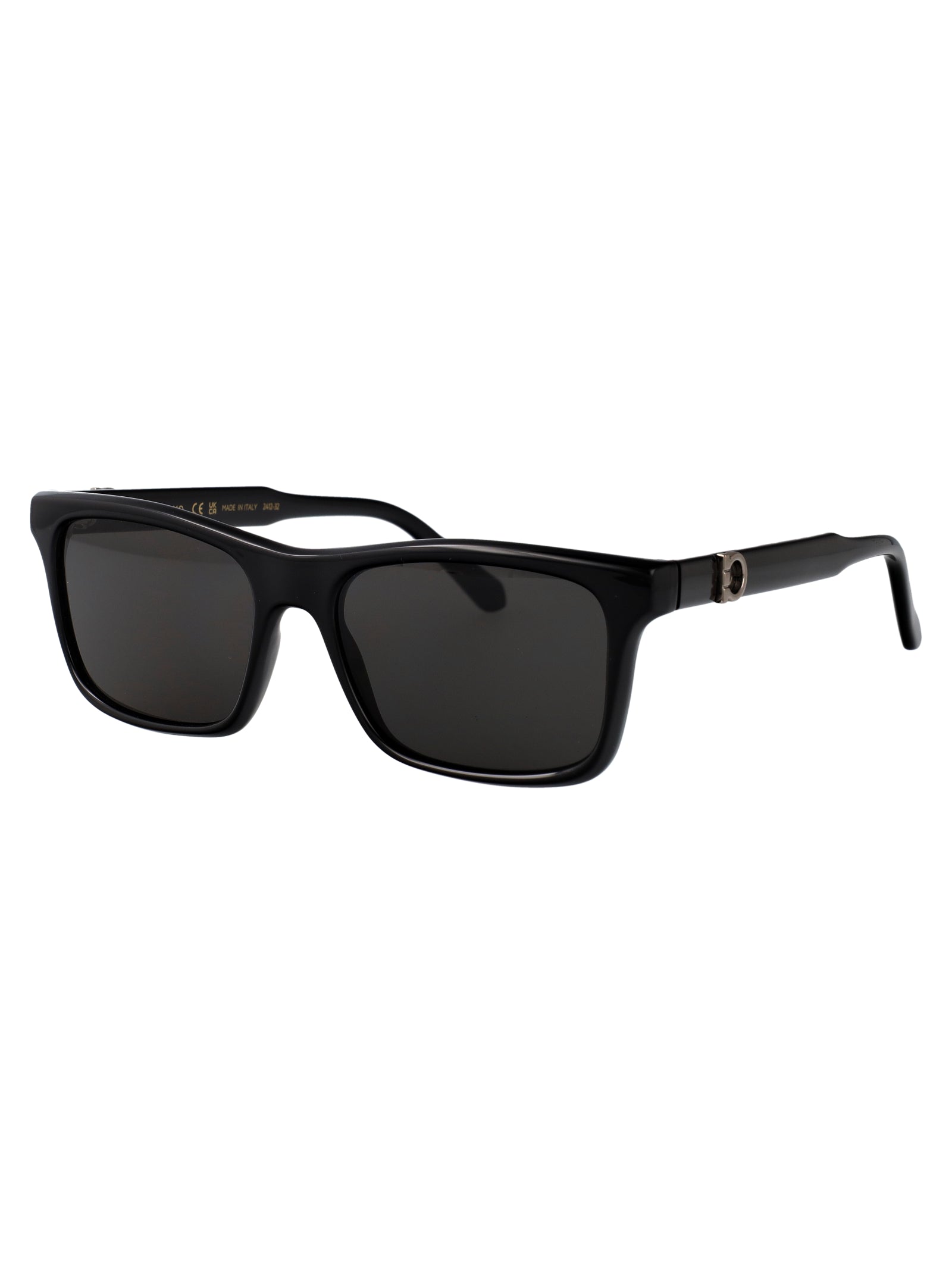 Ferragamo Classic Acetate Sunglasses for Men