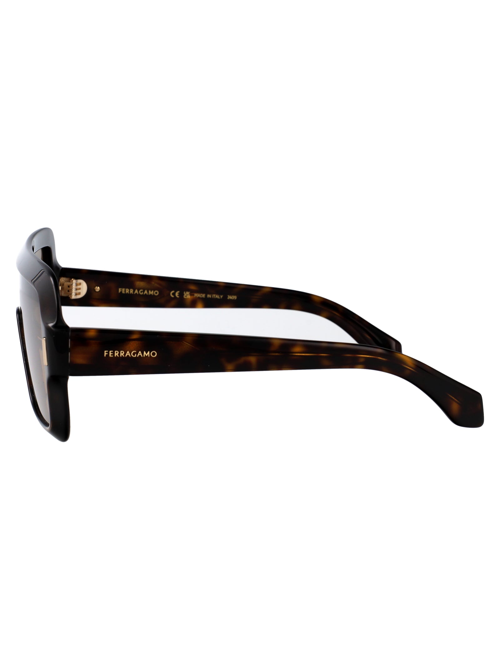 Ferragamo Acetate Sunglasses for Women - SF2061SE