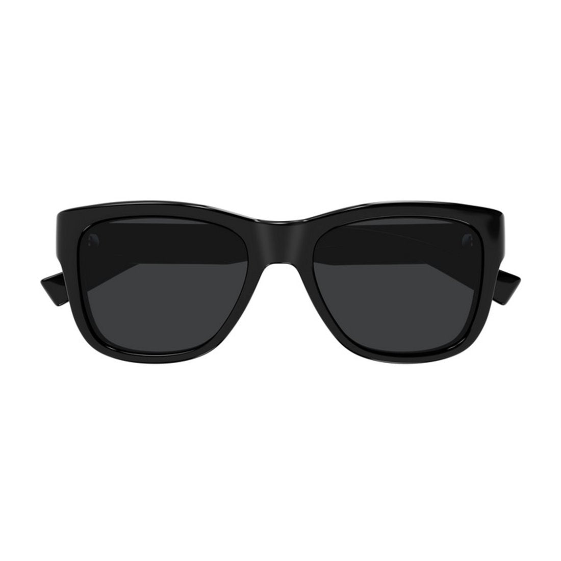 SAINT LAURENT Injected Sunglasses for Women