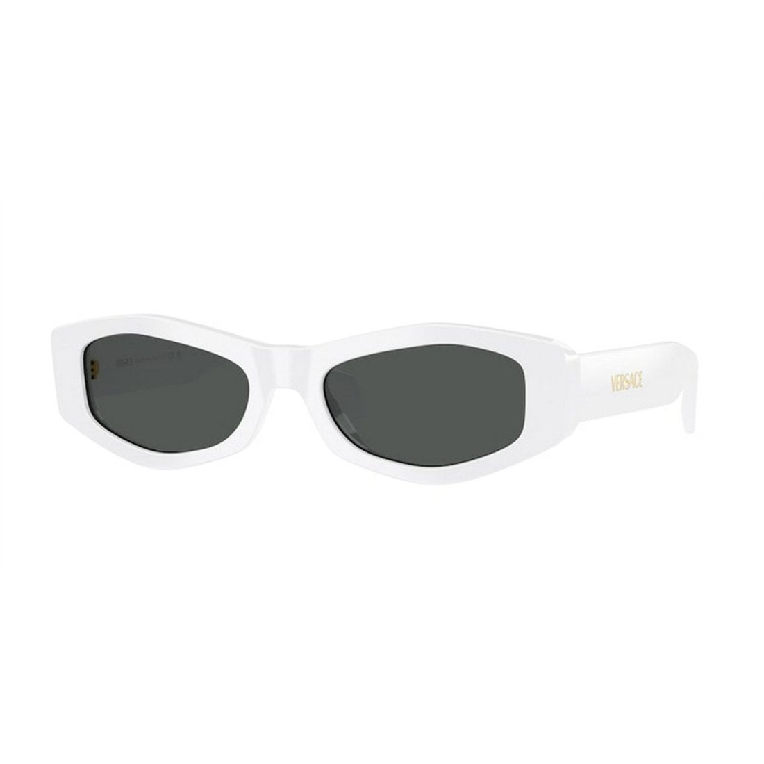 VERSACE Chic Modern Women's Sunglasses