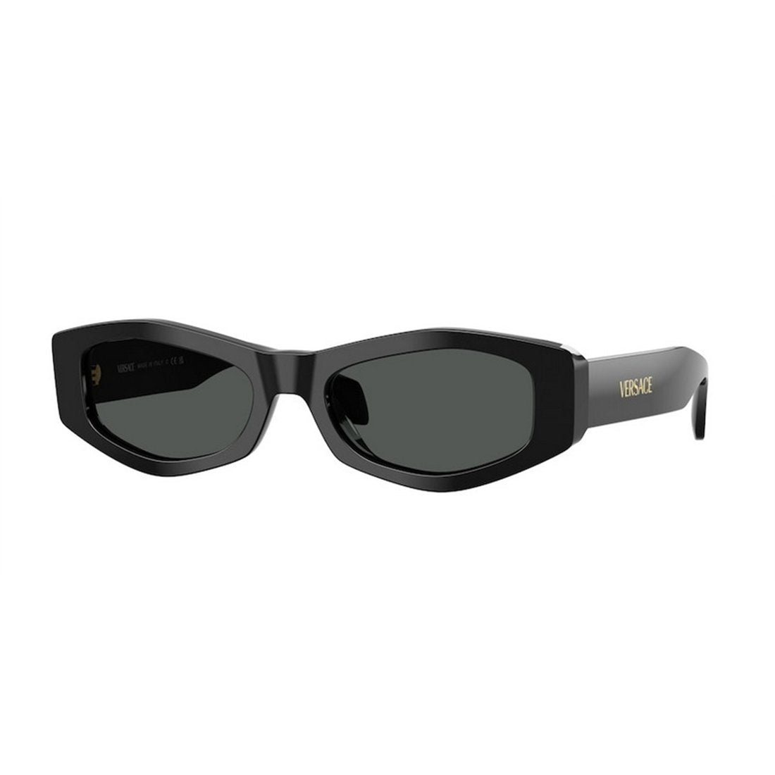 VERSACE Stylish Women's Mini Sunglasses