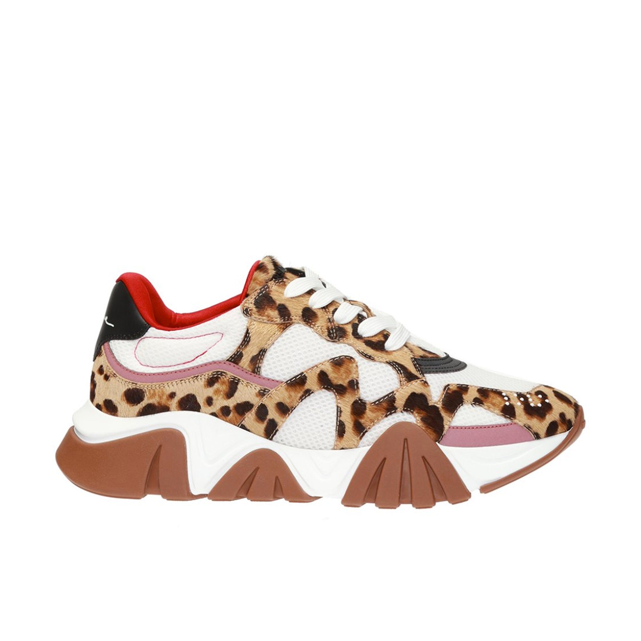 VERSACE Leopard Print Squalo Sneaker for Men
