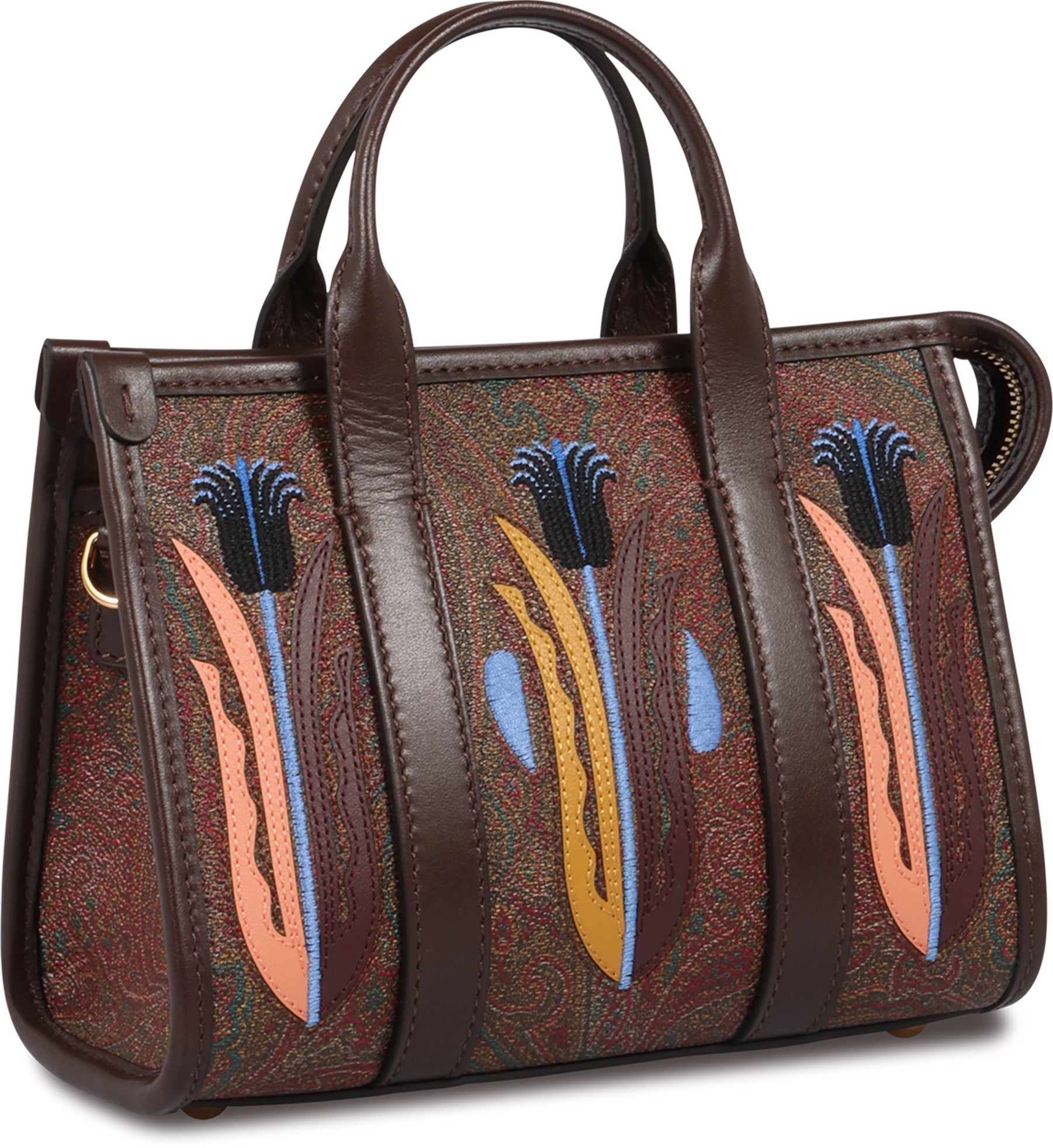 ETRO Mini Handbag Collaboration with Agostino Iacurci