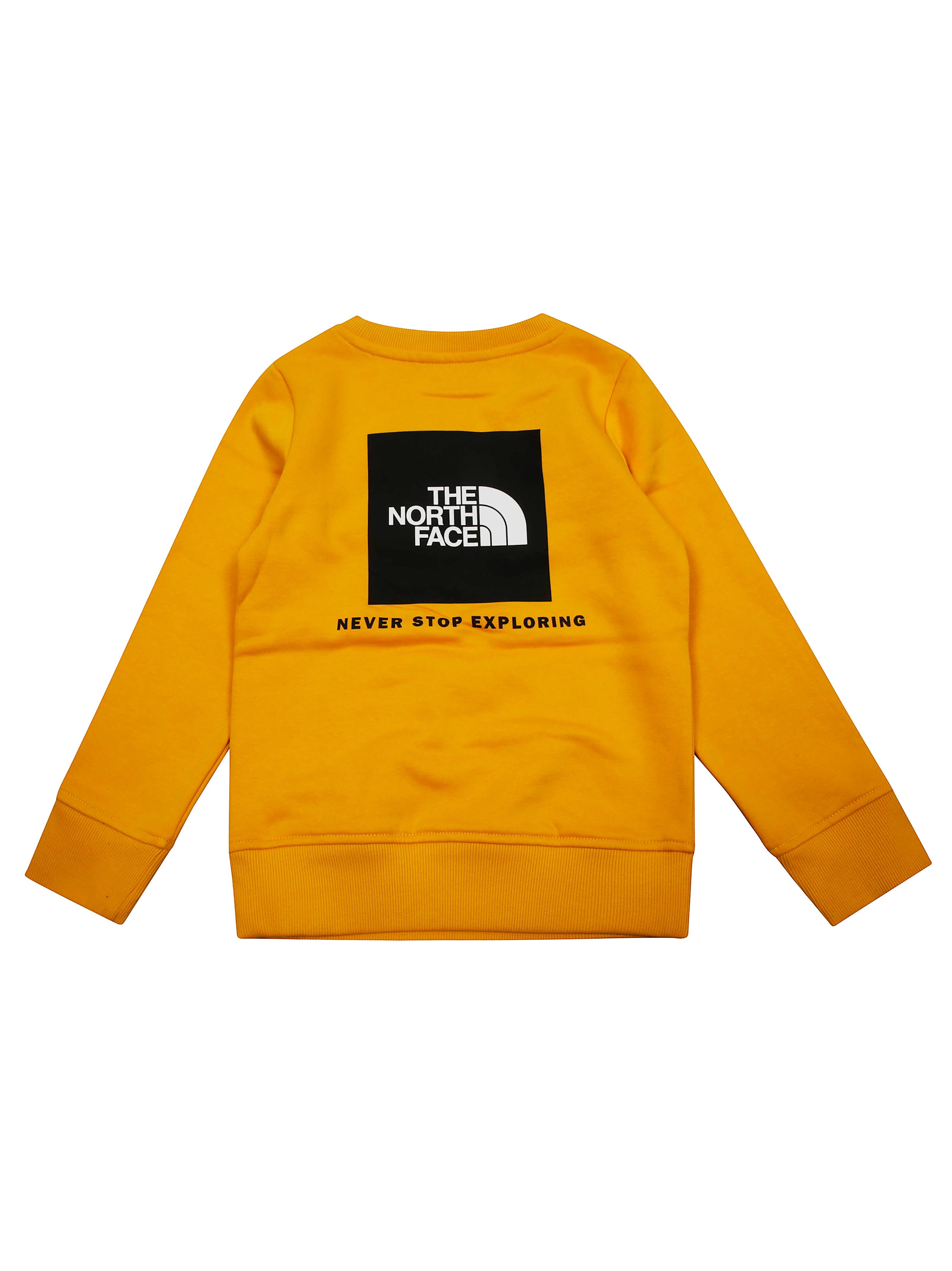 THE NORTH FACE Mini Crew Neck Sweatshirt for Teens