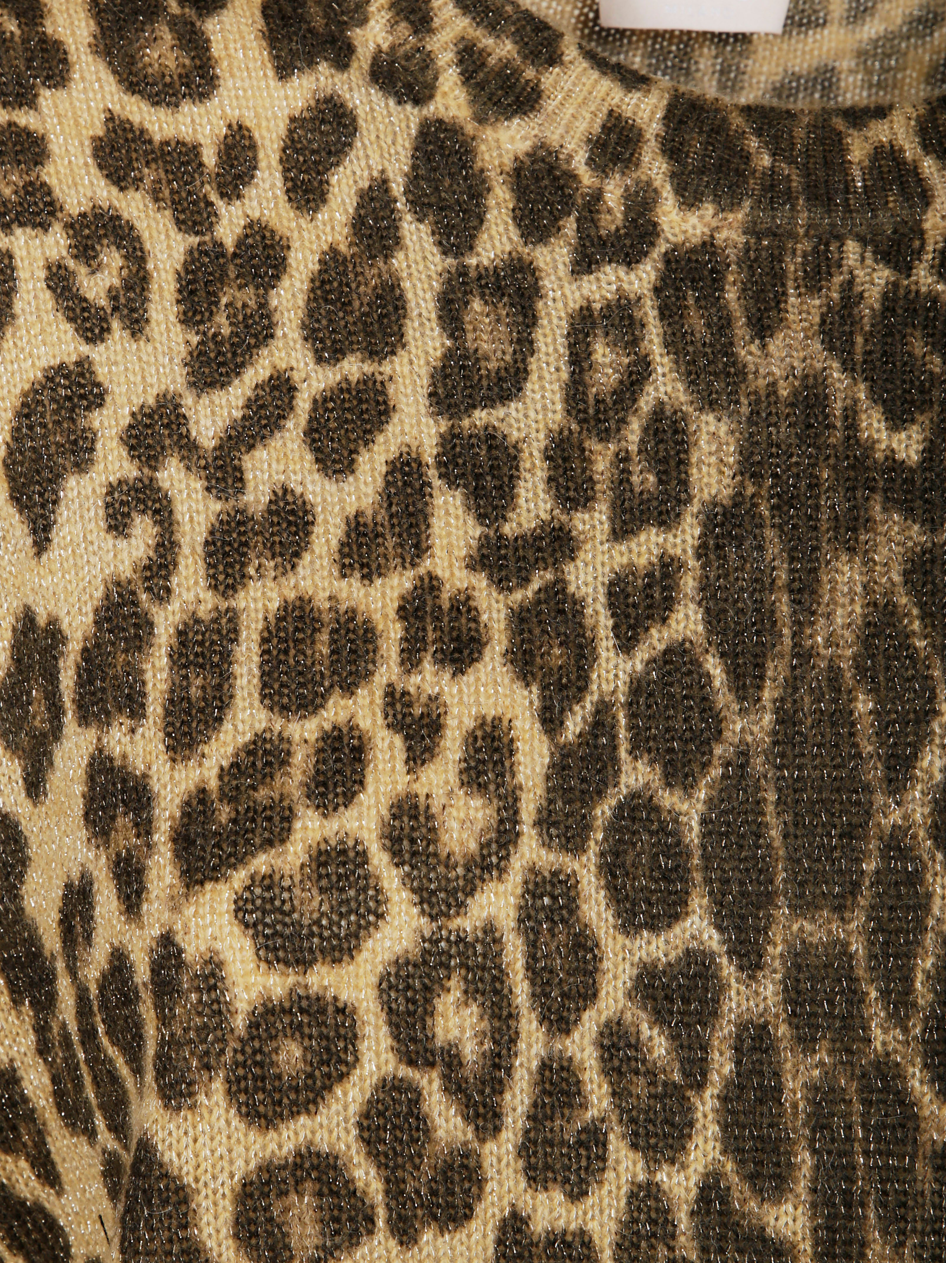 LIUJO Men's Animal Print Sweater