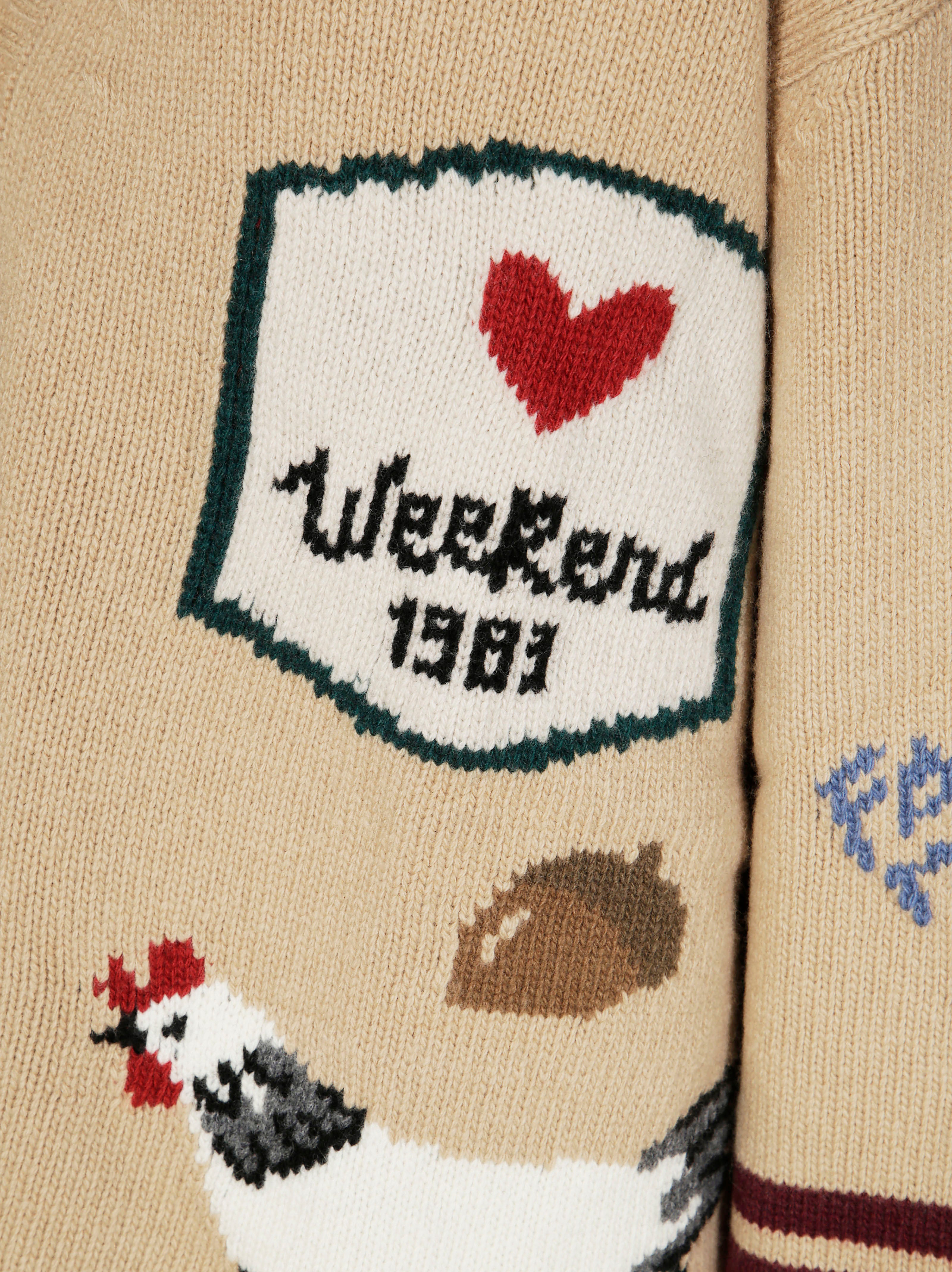 MAX MARA WEEKEND Weekend Classic Cardigan for Men