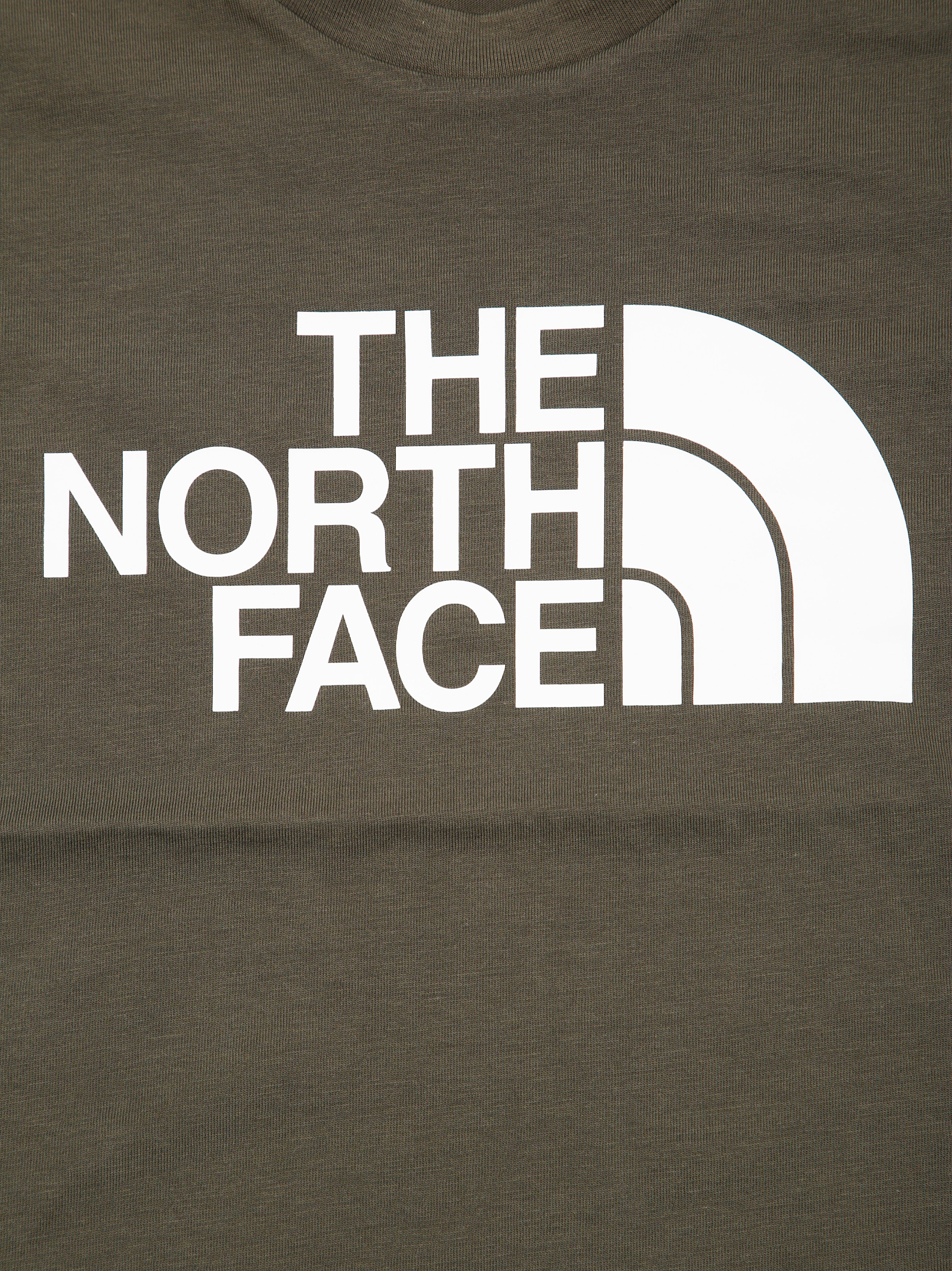 THE NORTH FACE Teen Easy Regular Fit T-Shirt