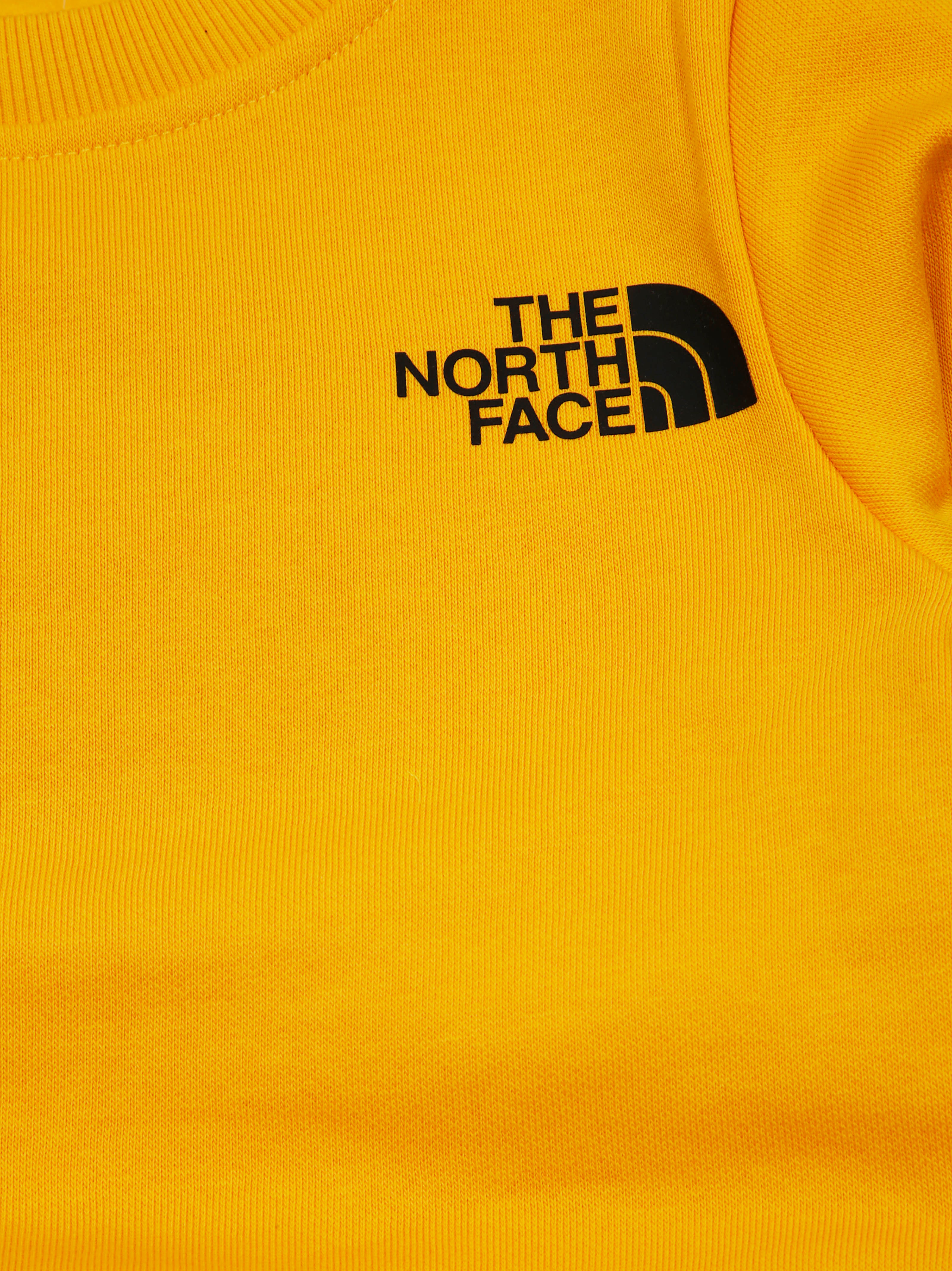 THE NORTH FACE Mini Crew Neck Sweatshirt for Teens