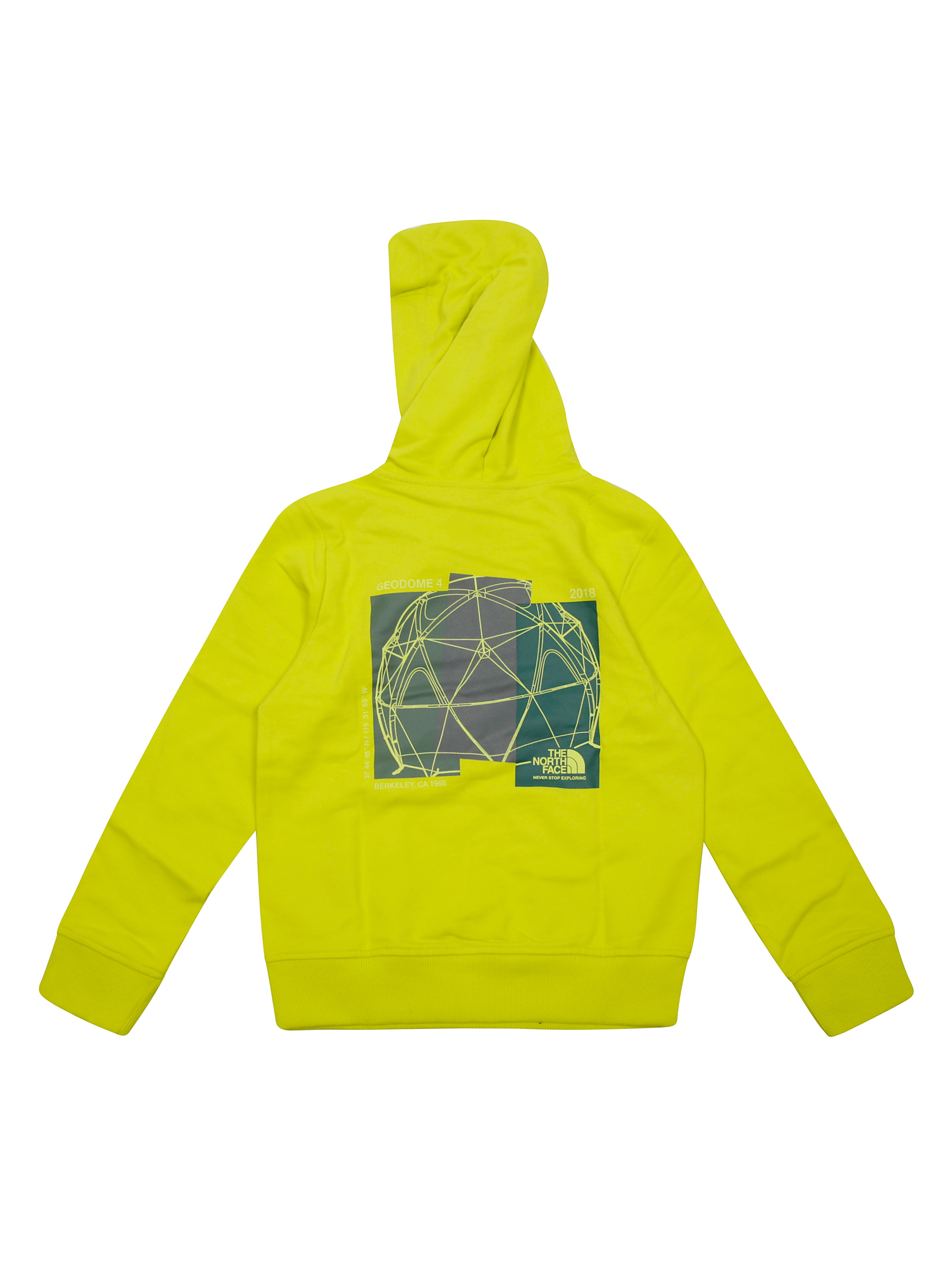 THE NORTH FACE Graphic Relaxed Hoodie for Kids